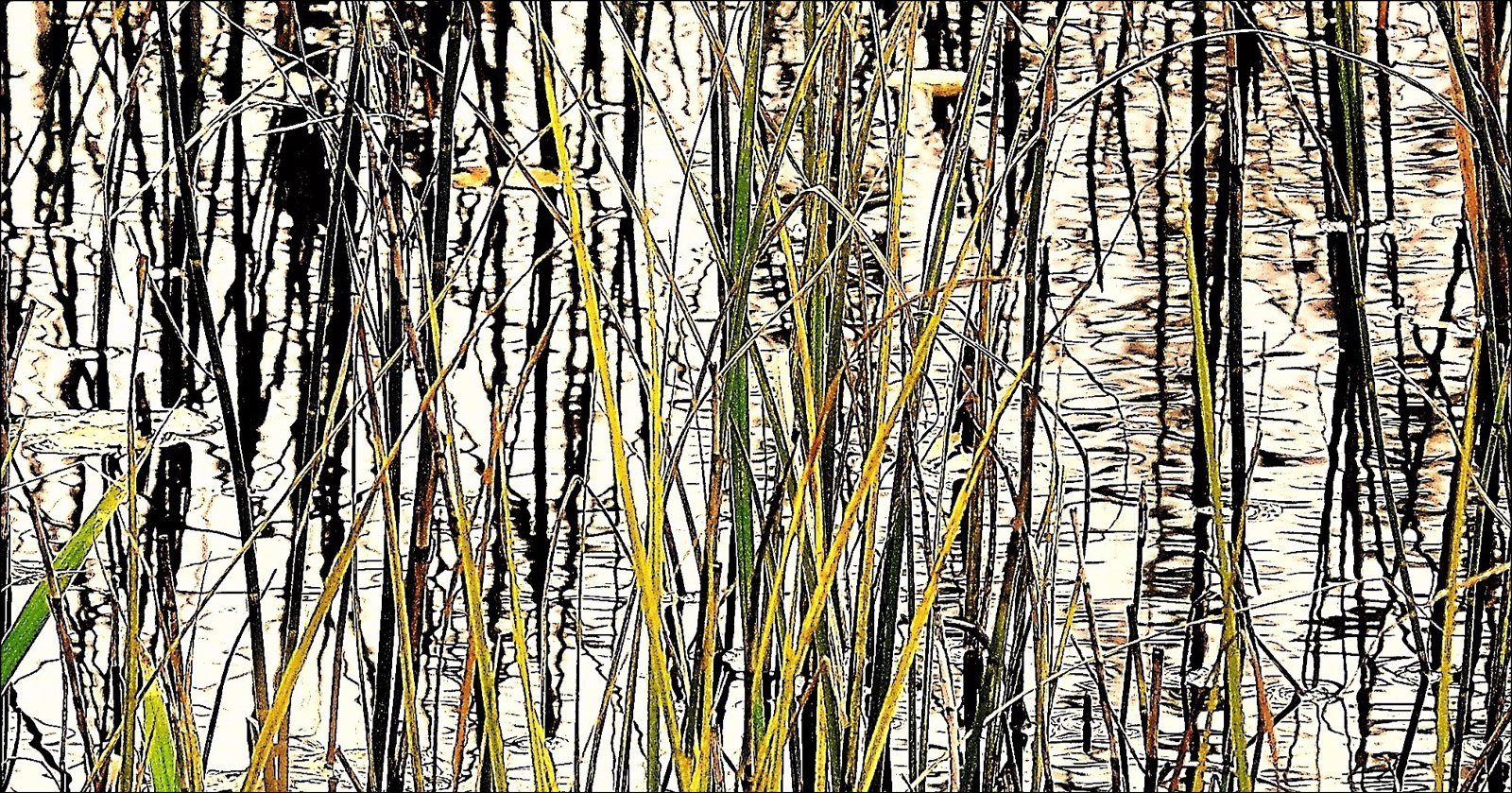 Drifting on a Reed