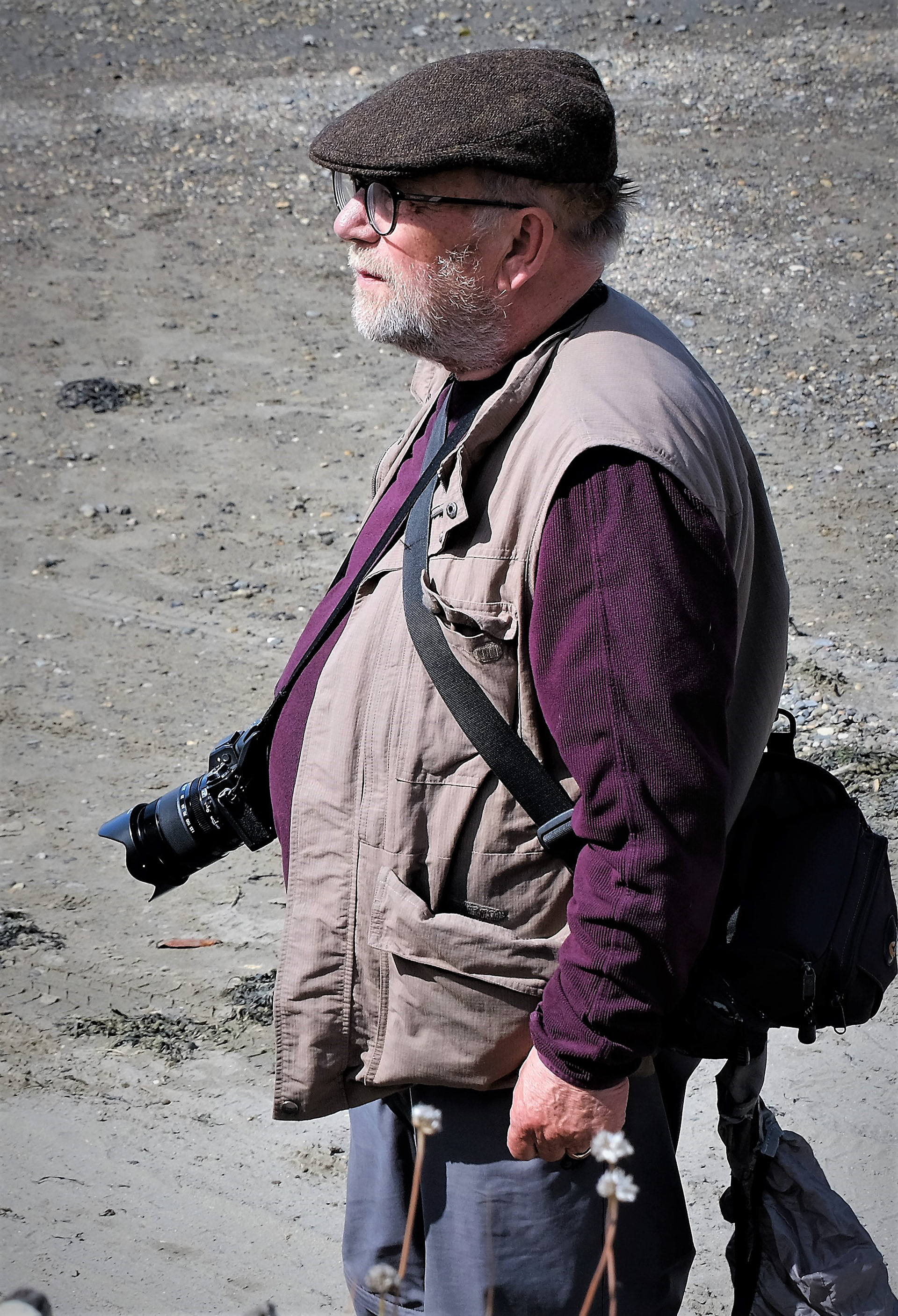 "Visiting Wildlife" by David Hough
