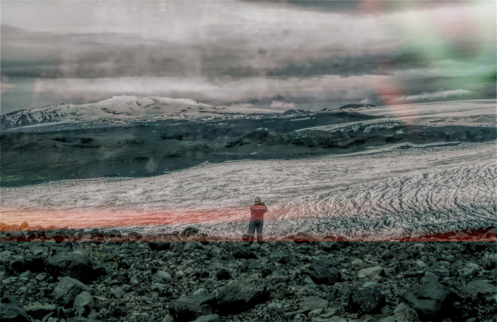 "Wild Iceland"