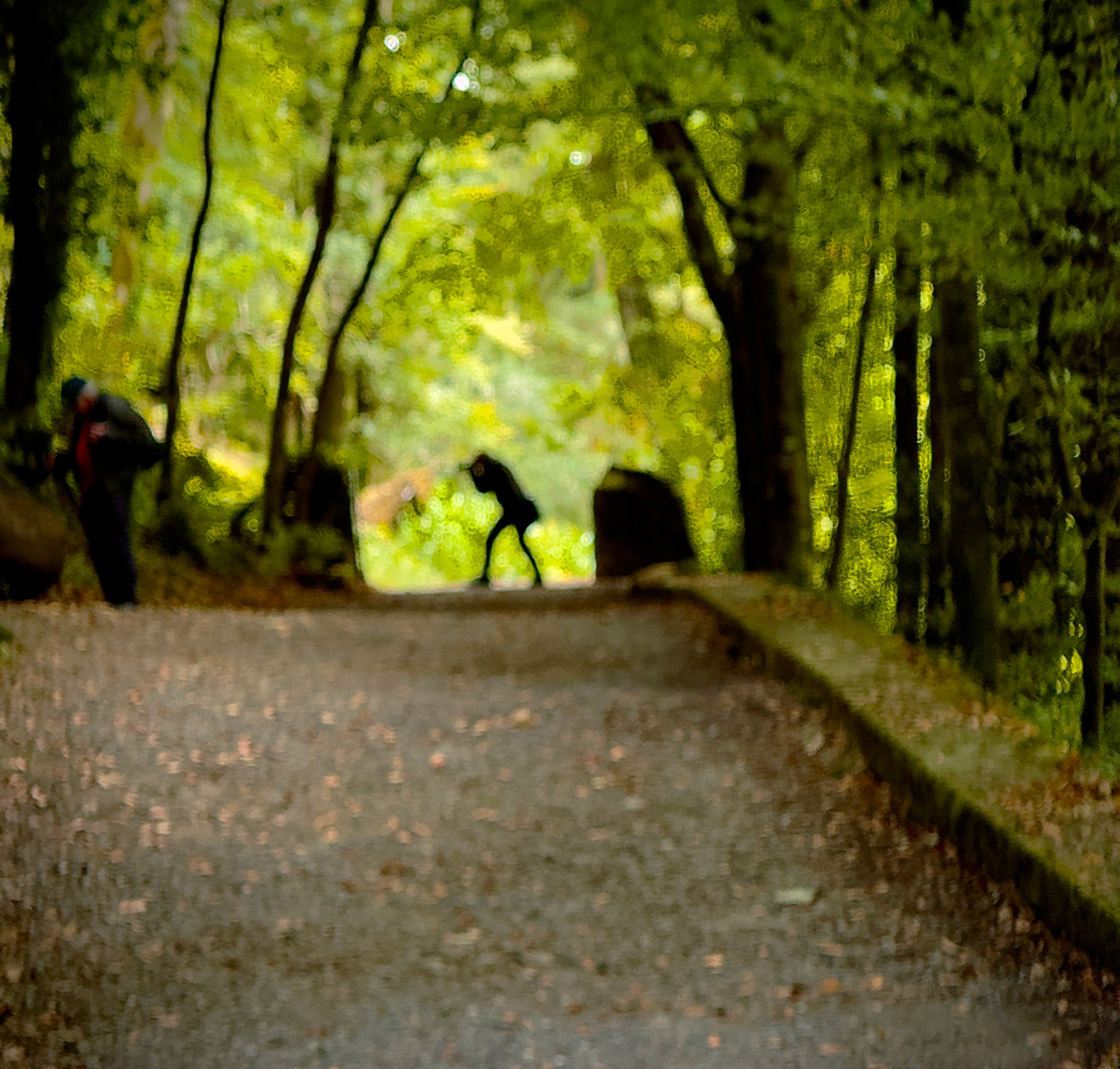 "Action Man" by David Hough