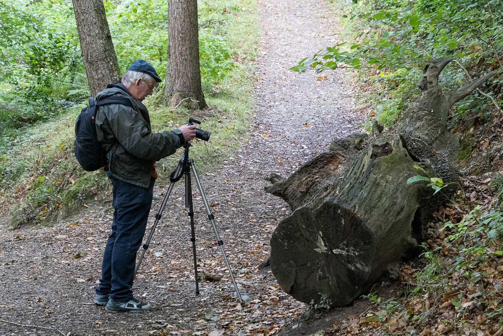 Colby_Pembs-5057 by Morlais Davies