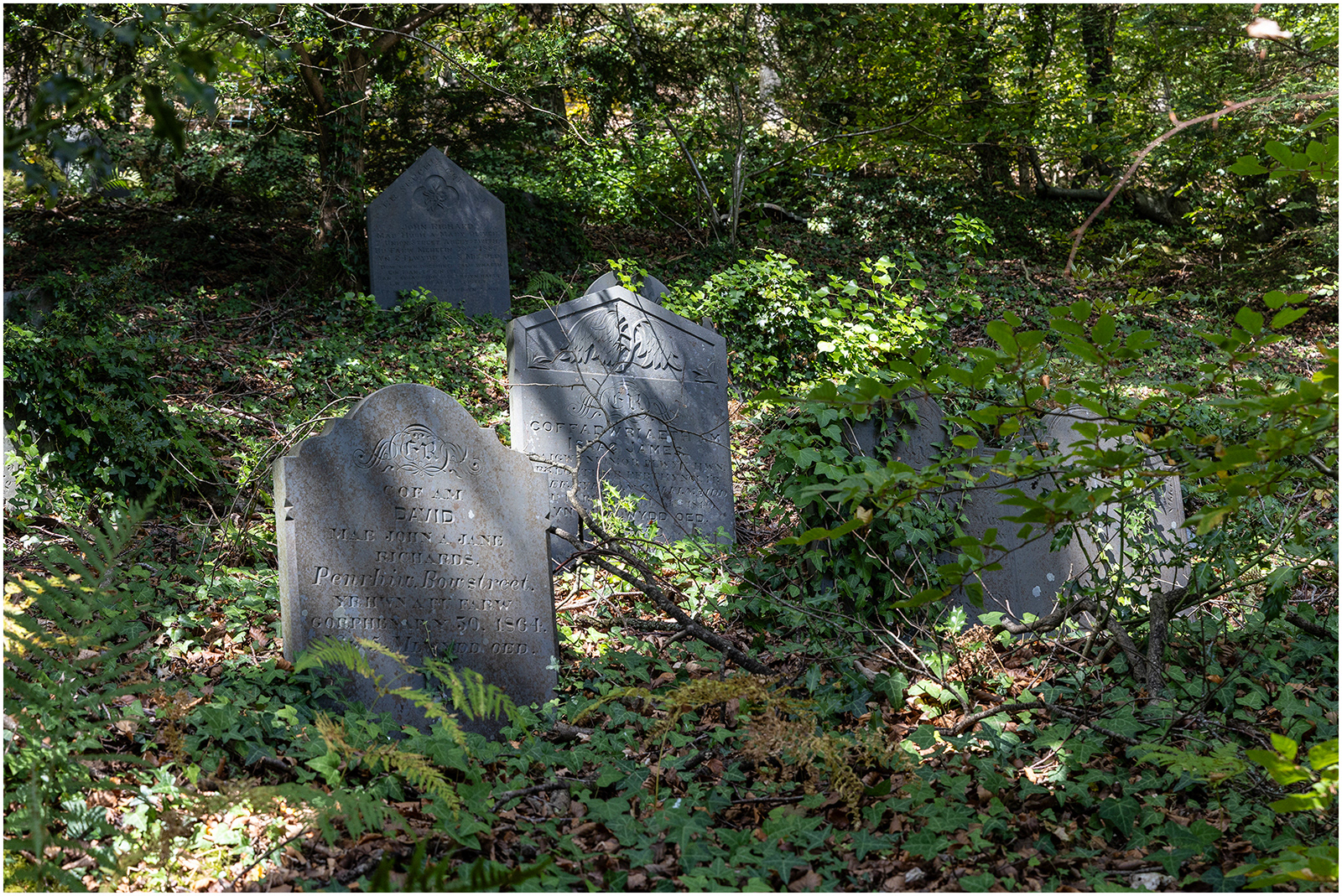 "Shaded resting place 3" by Viv Evans