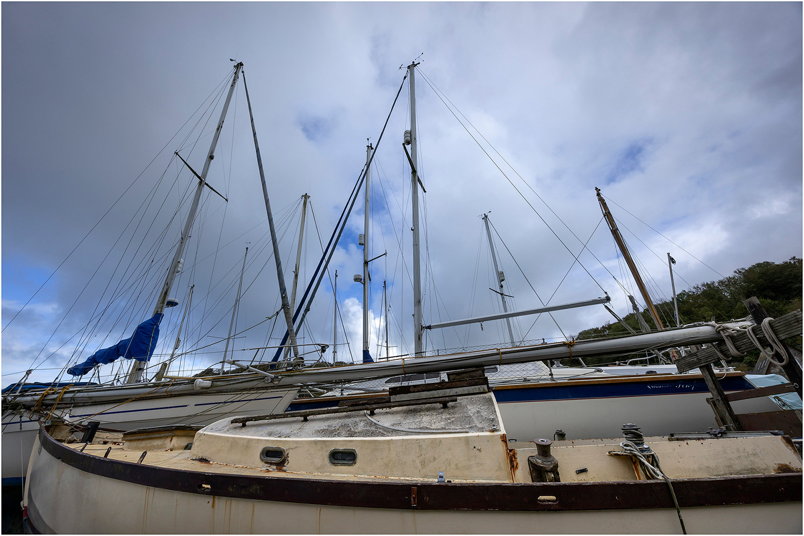 "Masts" by Viv Evans