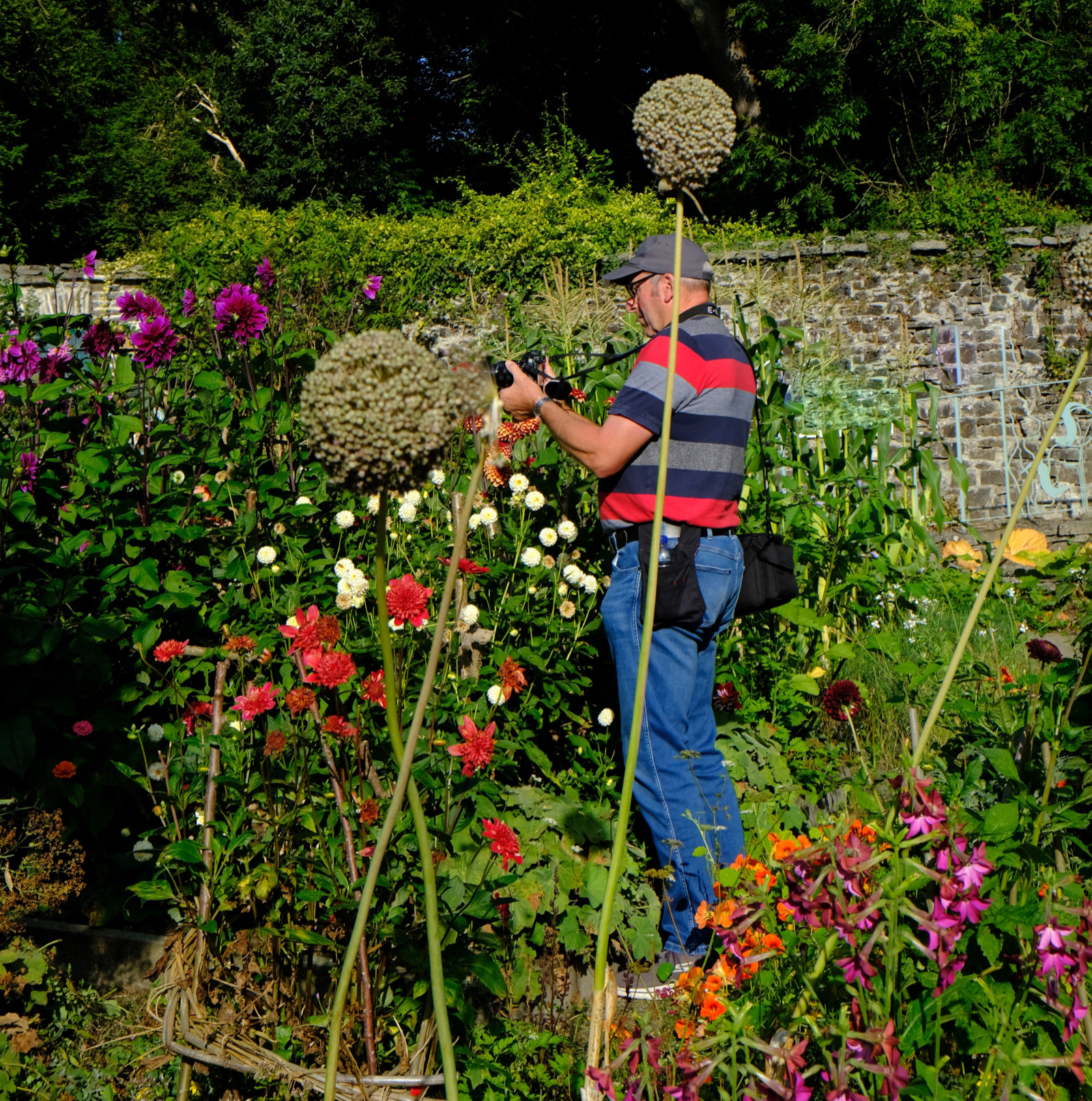"Garden Gems" by Margaret Jones