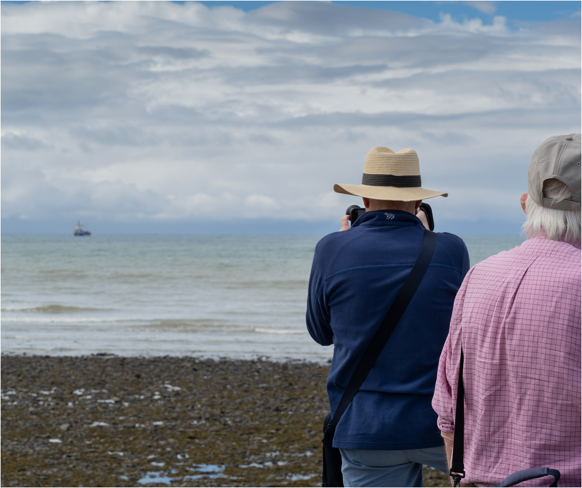 "Mogs in Action" by Viv Evans