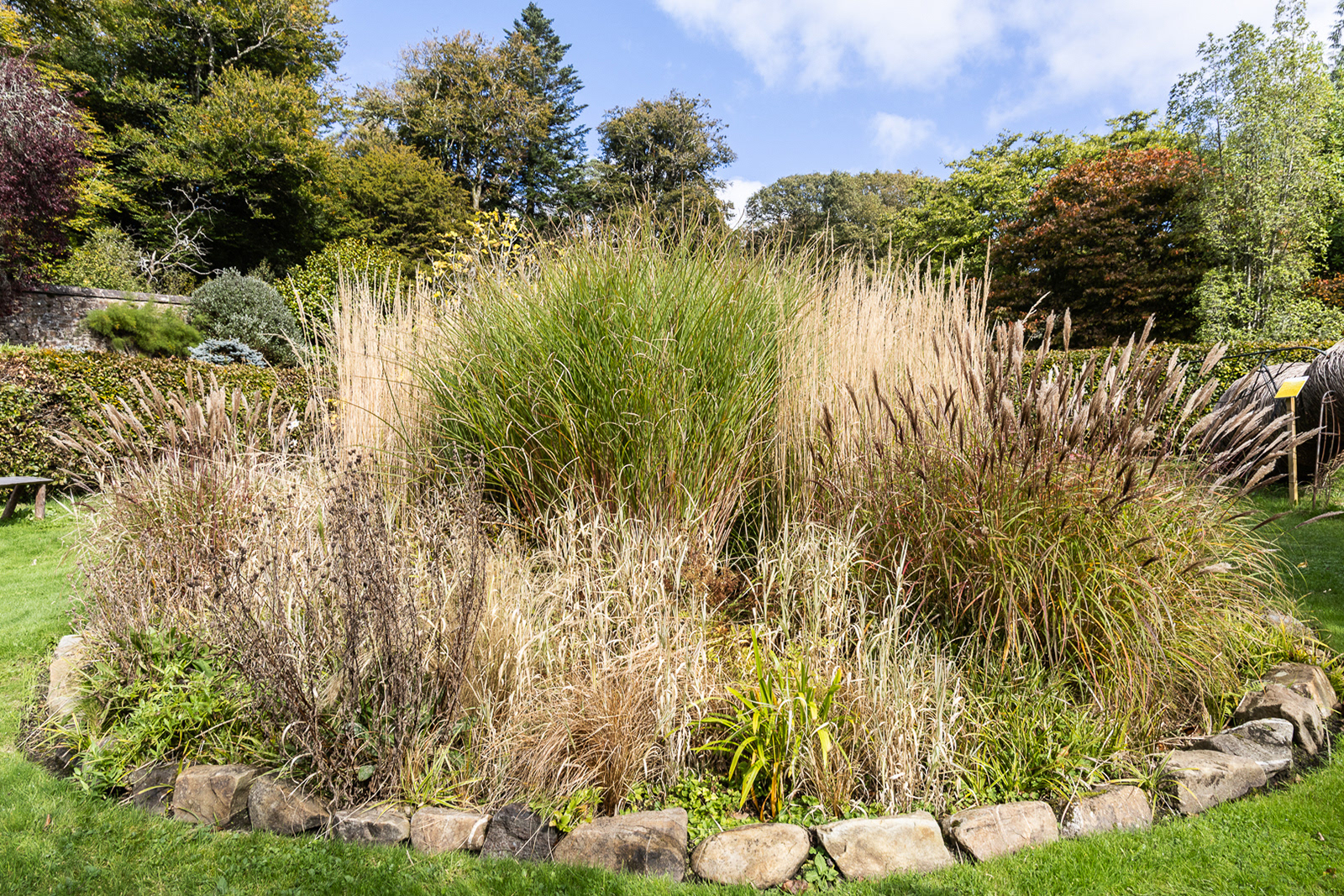 Colby_Pembs-5071 by Morlais Davies