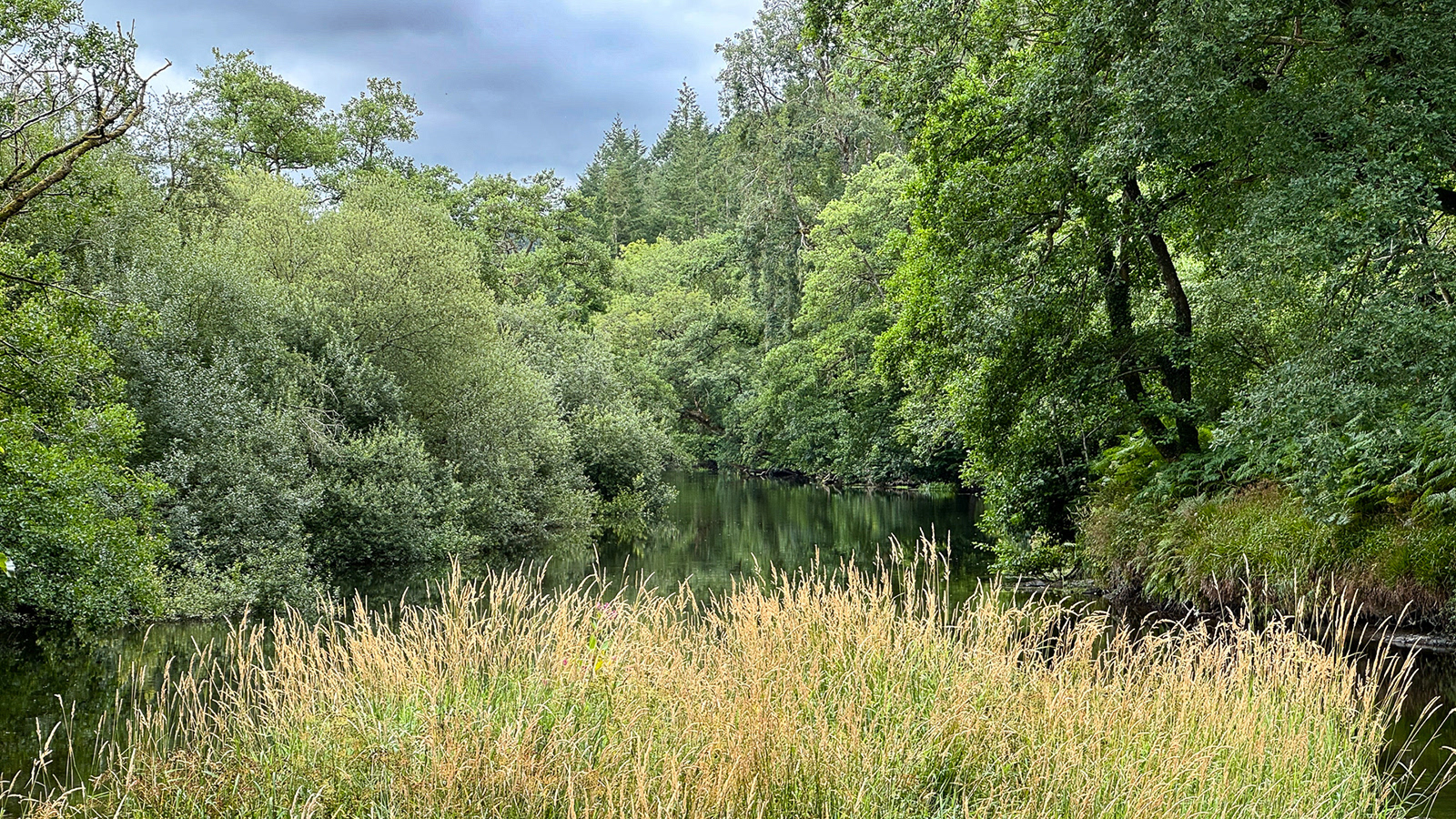 "Afon Teifi" by Morlais Davies