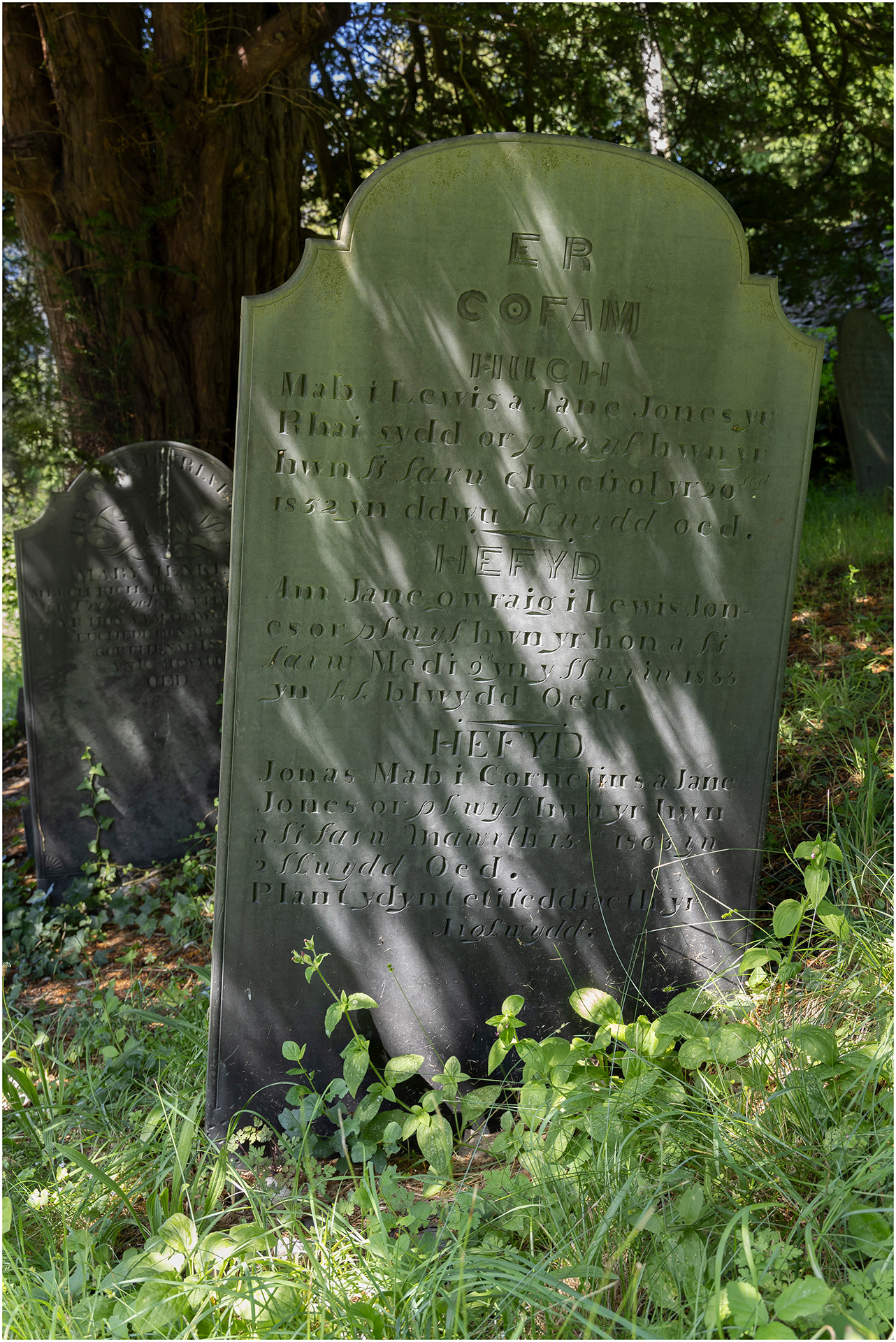 "Er Cof" by Viv Evans