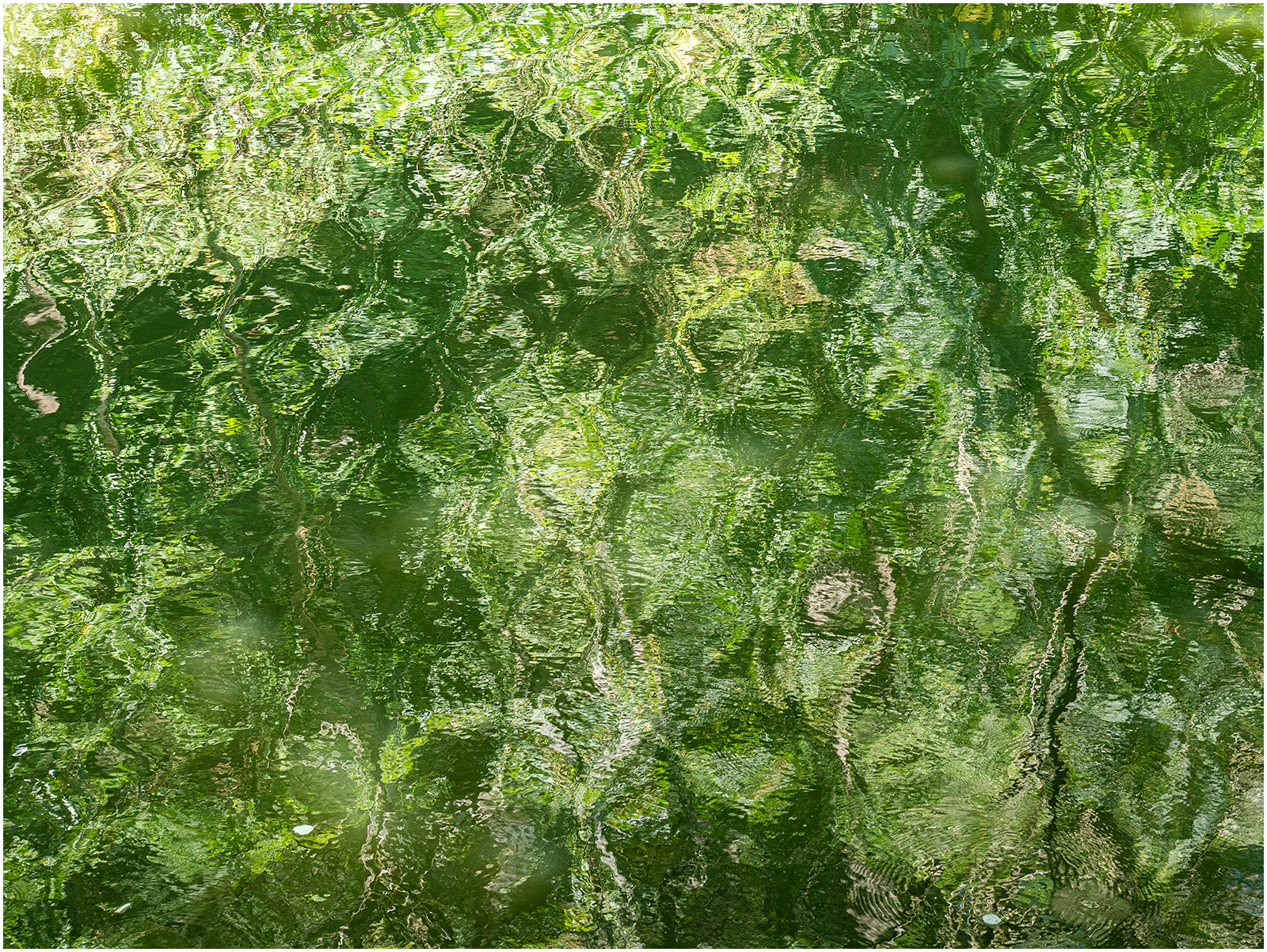 "Ripple" by Viv Evans