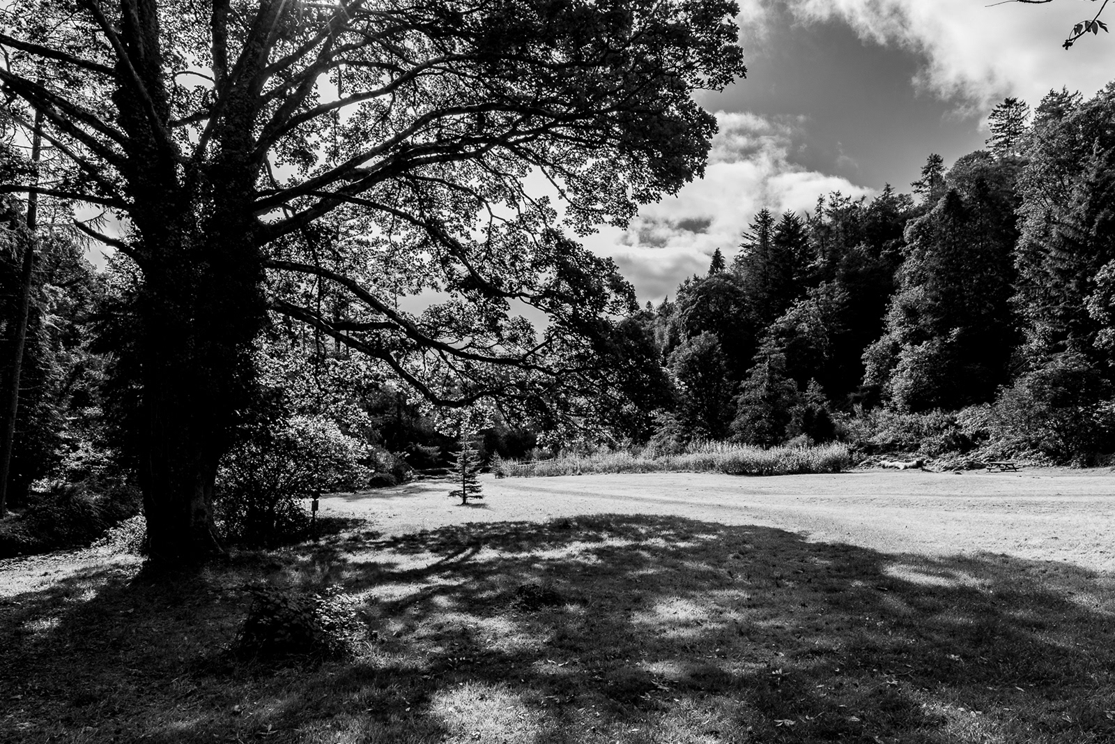 Colby_Pembs-4939 by Morlais Davies