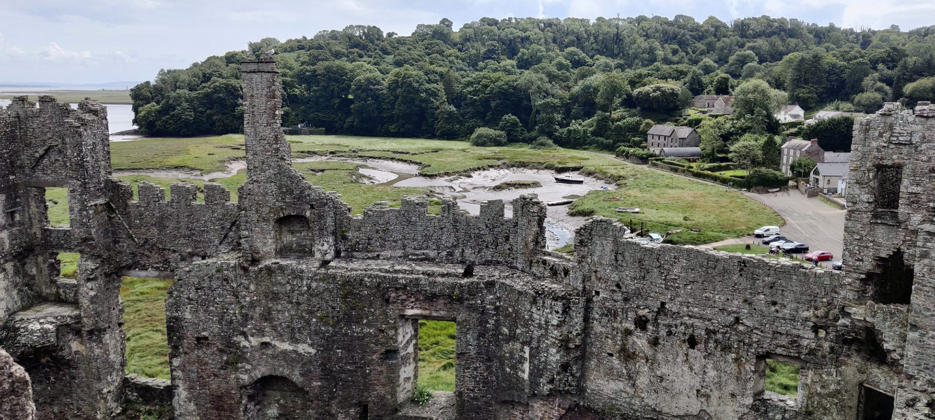 "Crennelations" by Hilary Harding