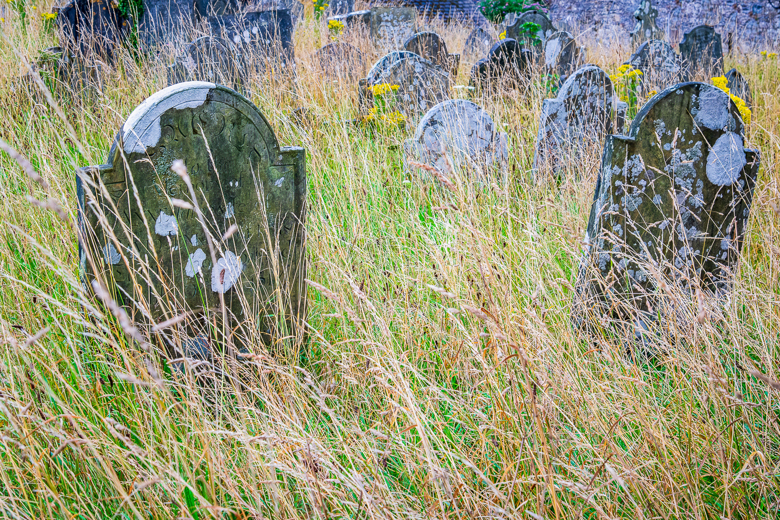 "Reclaimed by Nature" by Ray Bethell