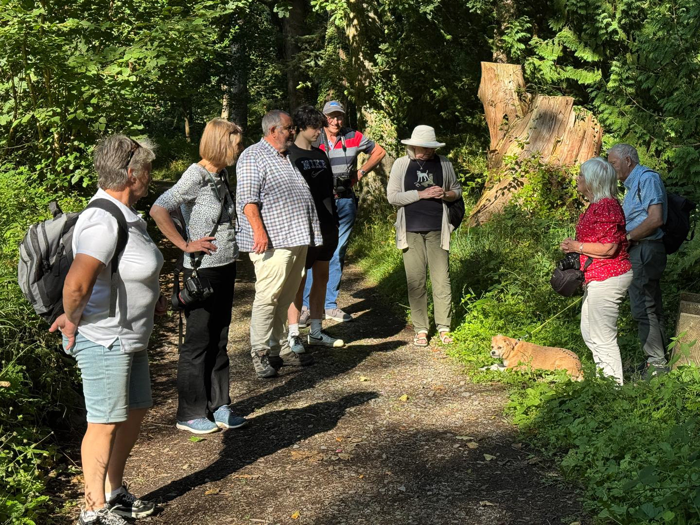 "Club Meeting" by Morlais Davies