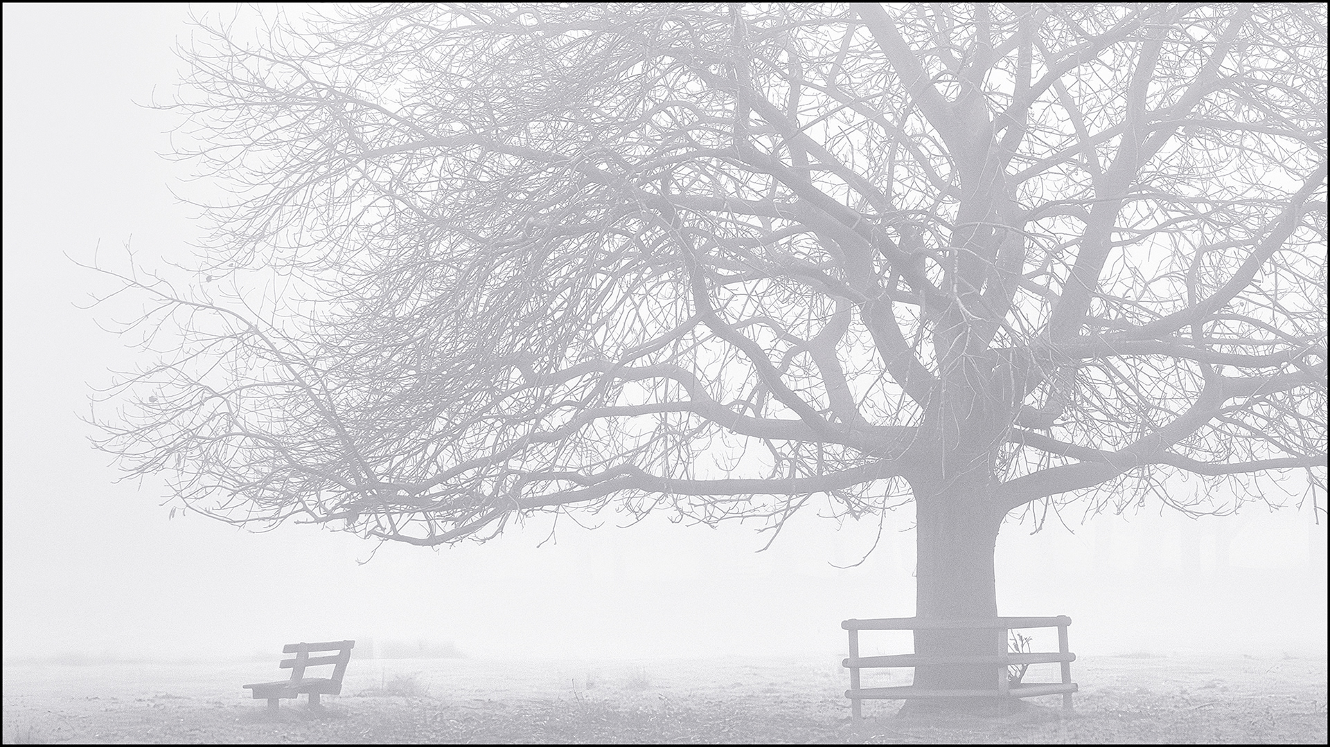"Take a Seat", Boxing Day 2024, Tatton Park, Knutsford