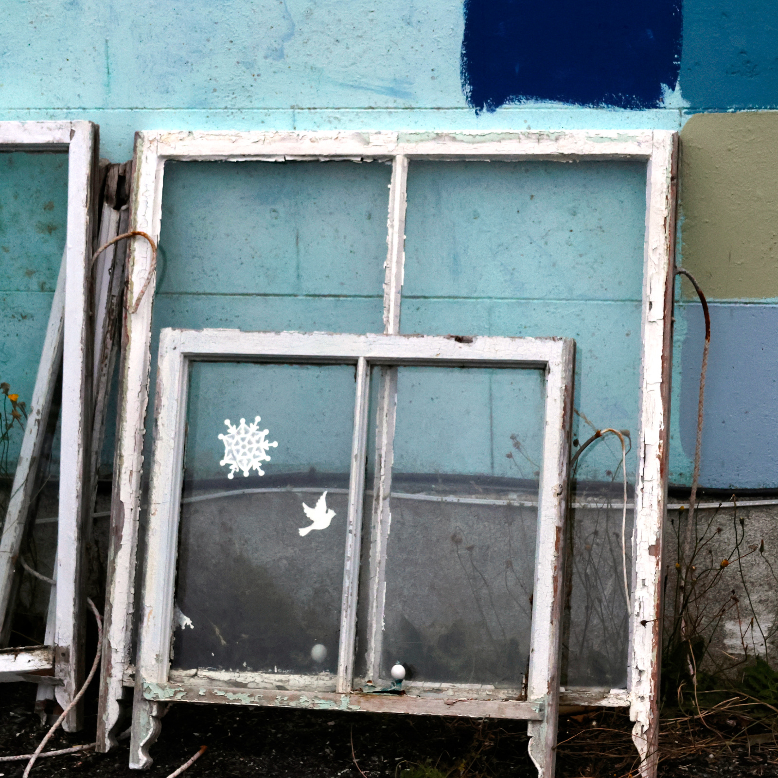 "Christmas is.....a pane in the glass" by Chris Haines