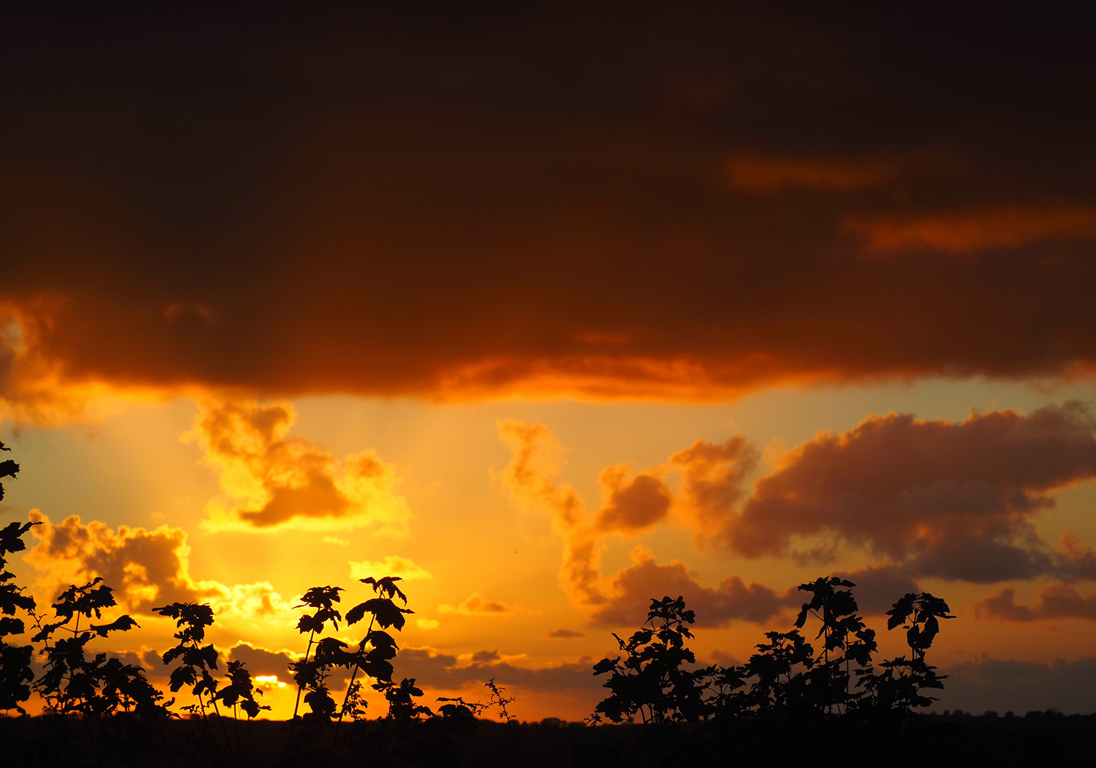 Commended : "Cloudscape" by Lindsey Church