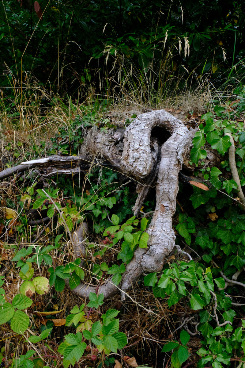 "What is the Question?" by Margaret Jones