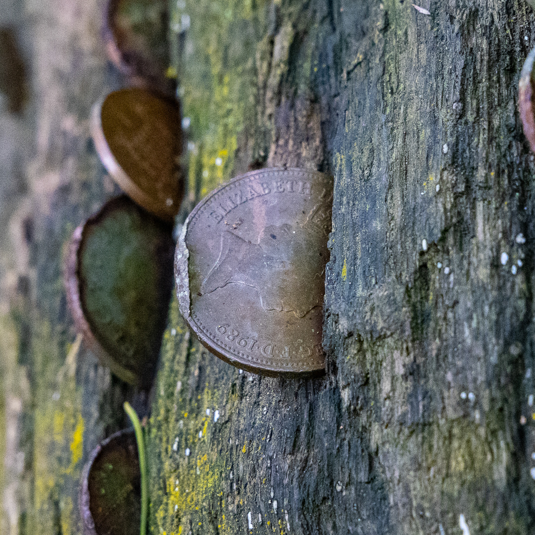 Colby_Pembs-5058 by Morlais Davies