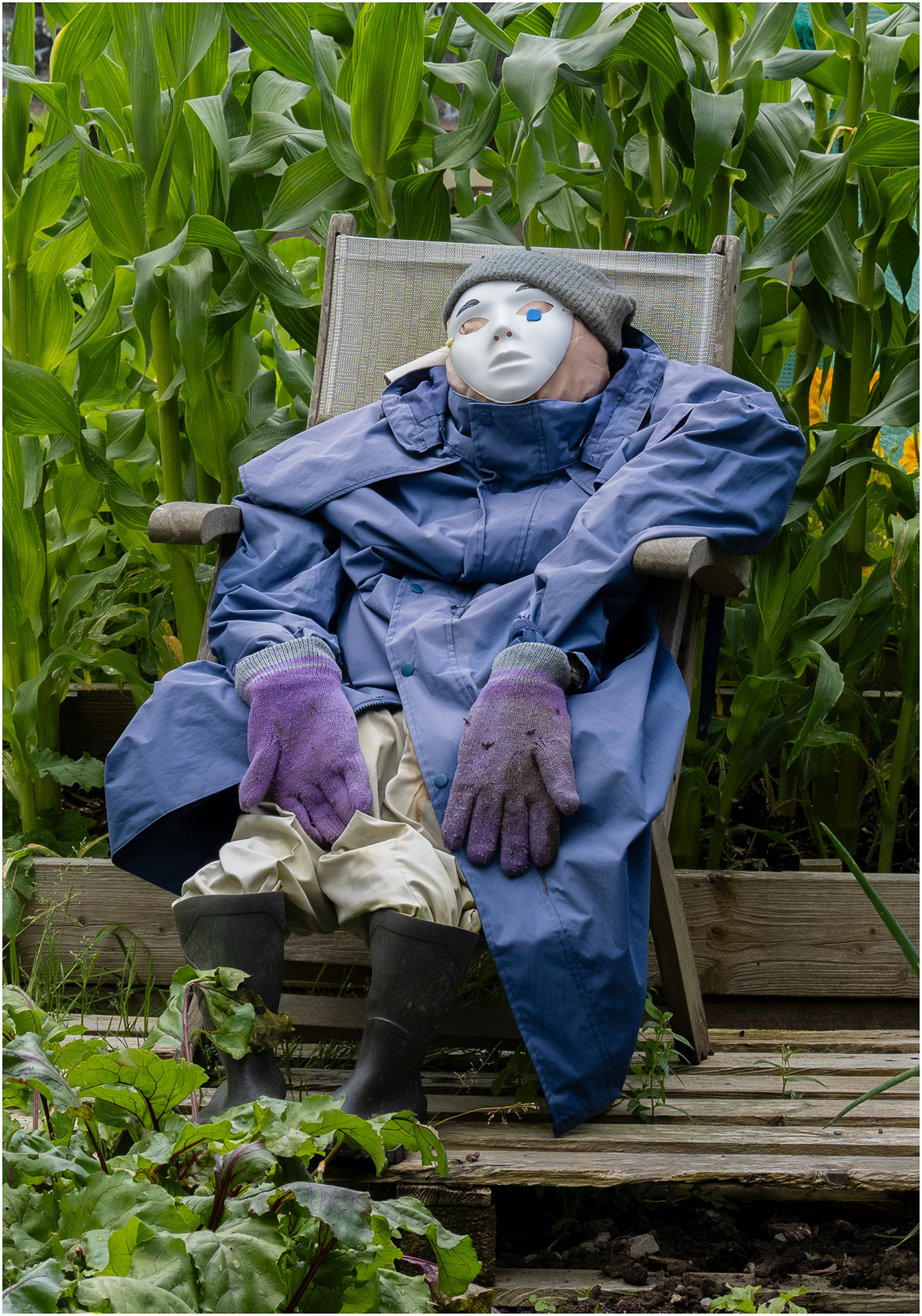 "A Scary Local" by Viv Evans