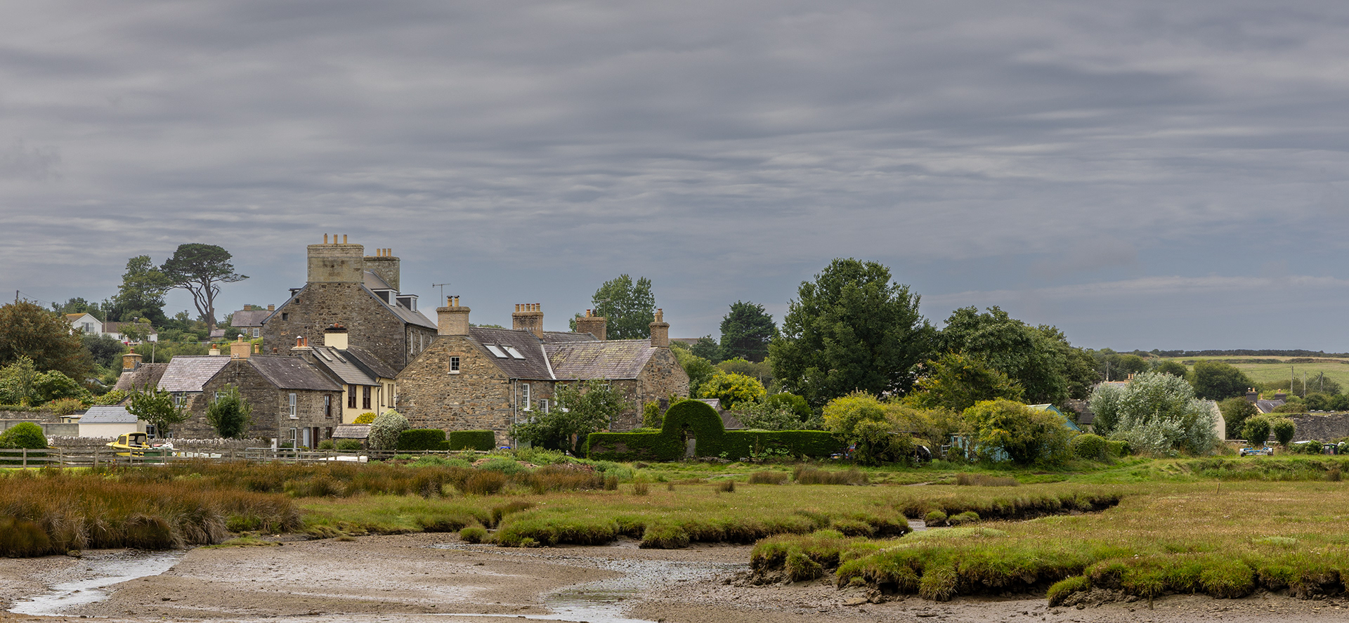 "Parrog 1" by Viv Evans