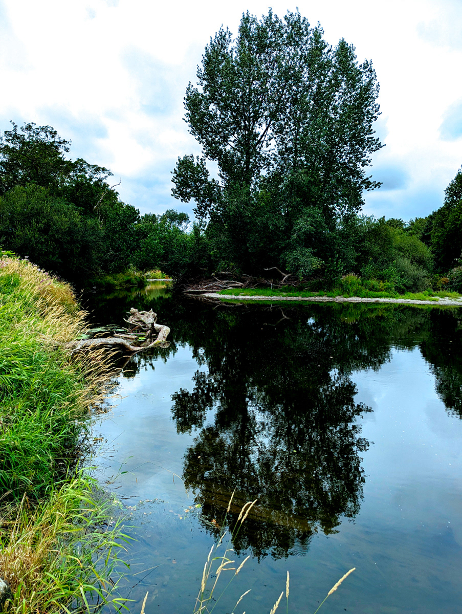 "Reflection" by Mike Jones