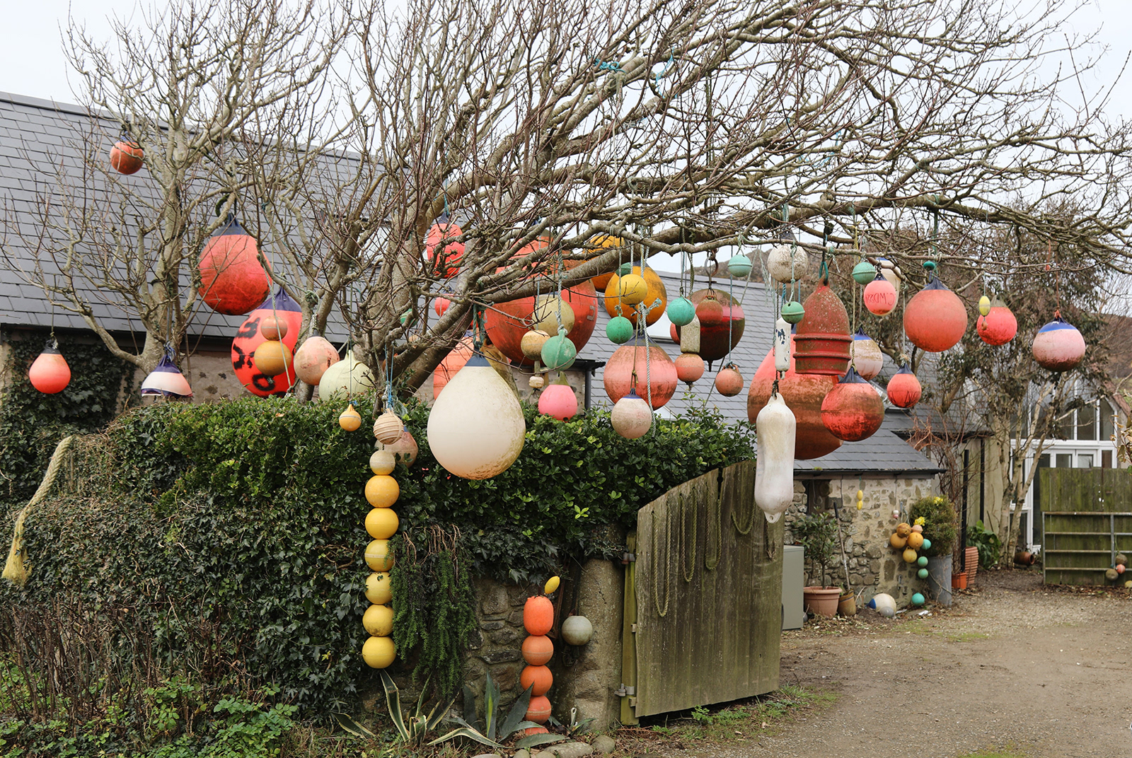 "The Buoy Fruit Tree"