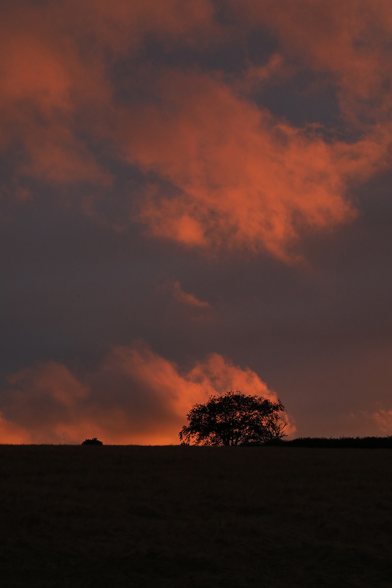 "Firey Sunset" by Brian Ottewell