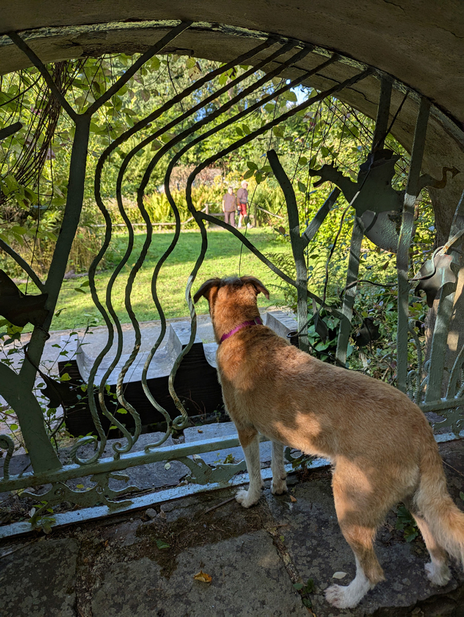 "Where's Margaret?" by Mike Jones