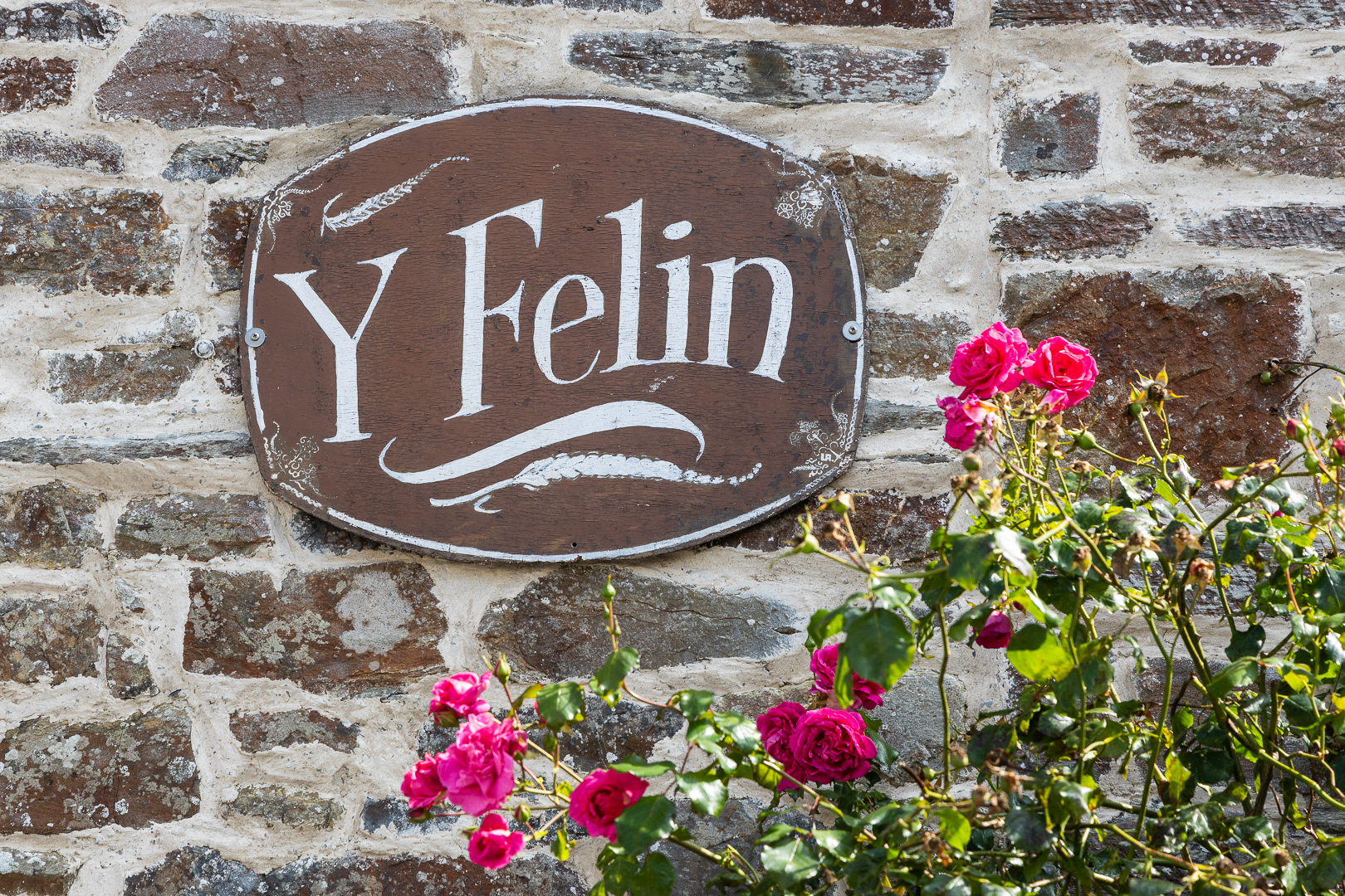 "Rhosys Y Felin" by Morlais Davies