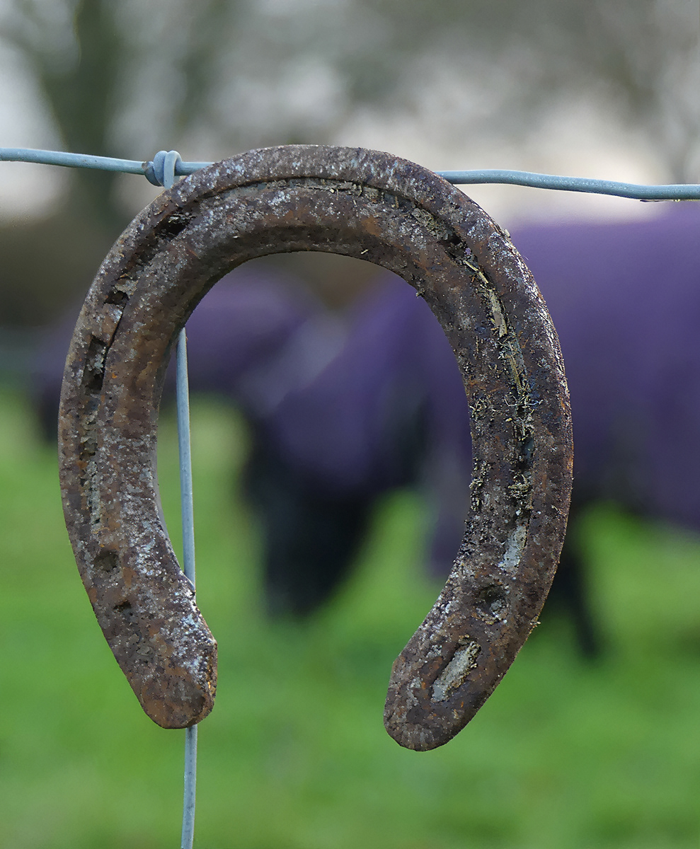 13. Where's my shoe?