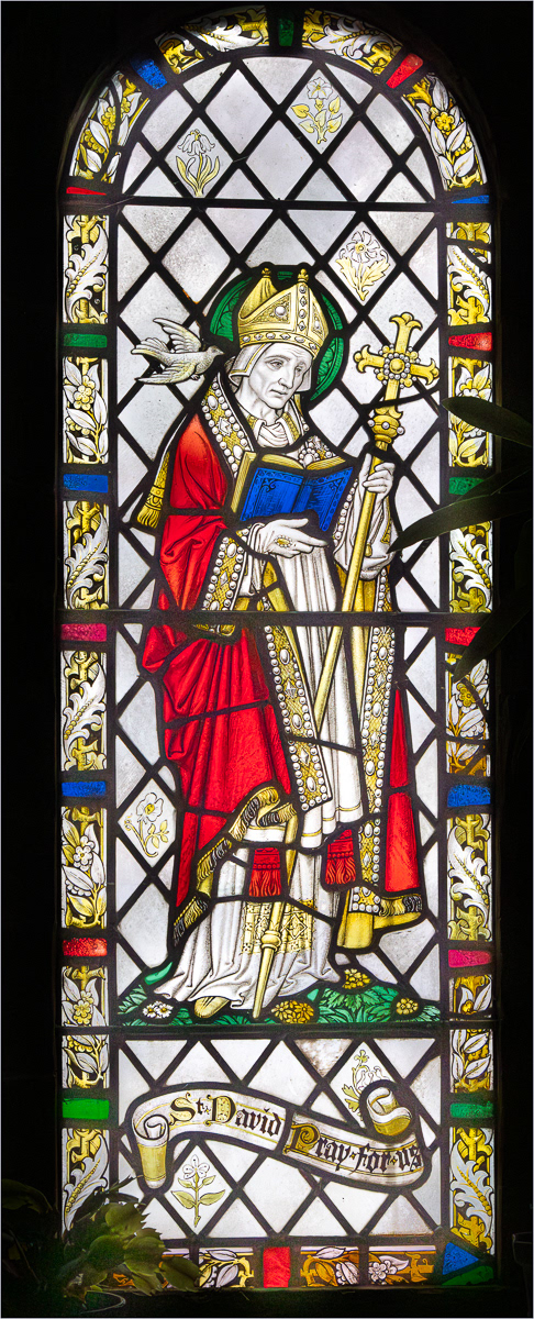 "St David at Chapel of Our Lady and St Non" by Anne Jones