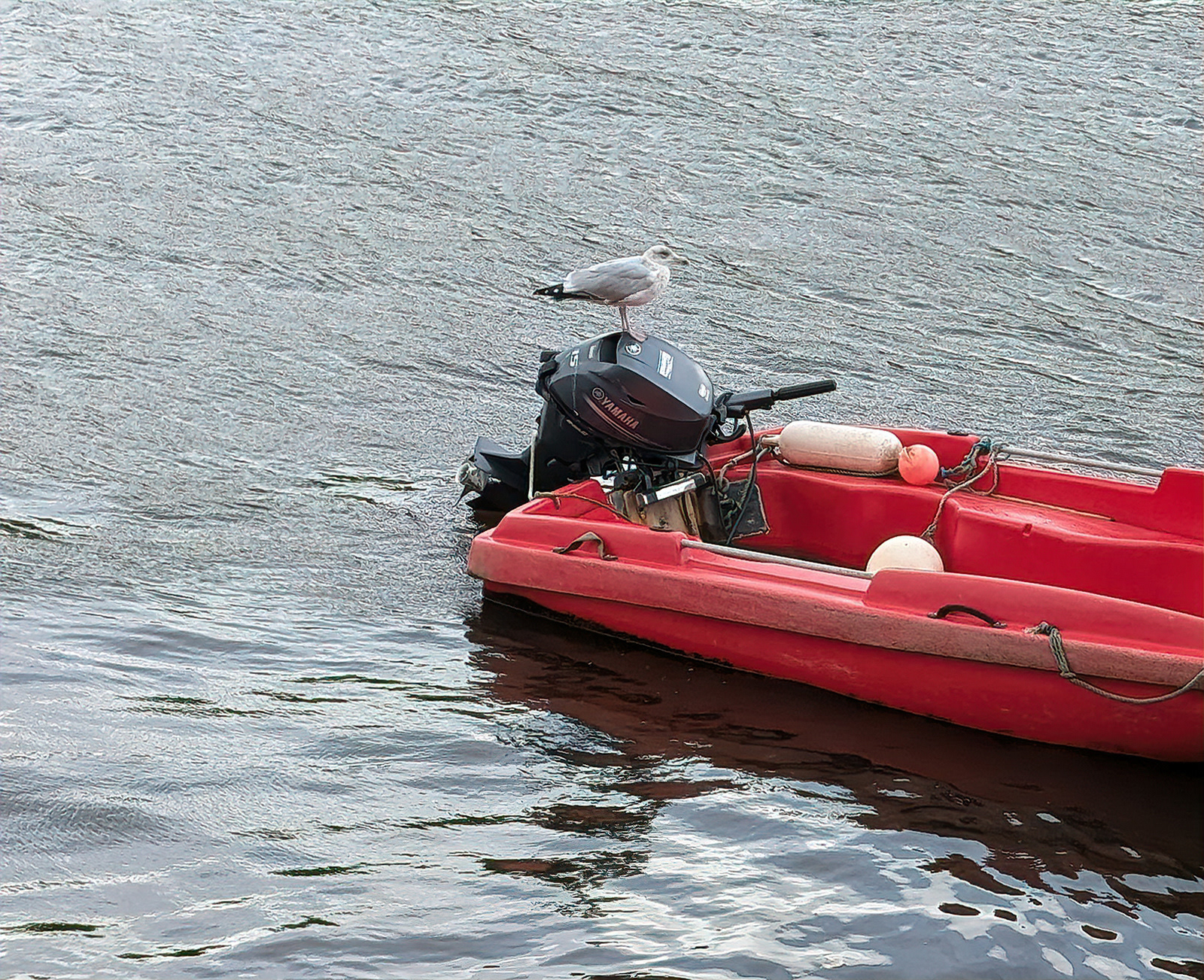 "Having a Rest" by Mike Jones