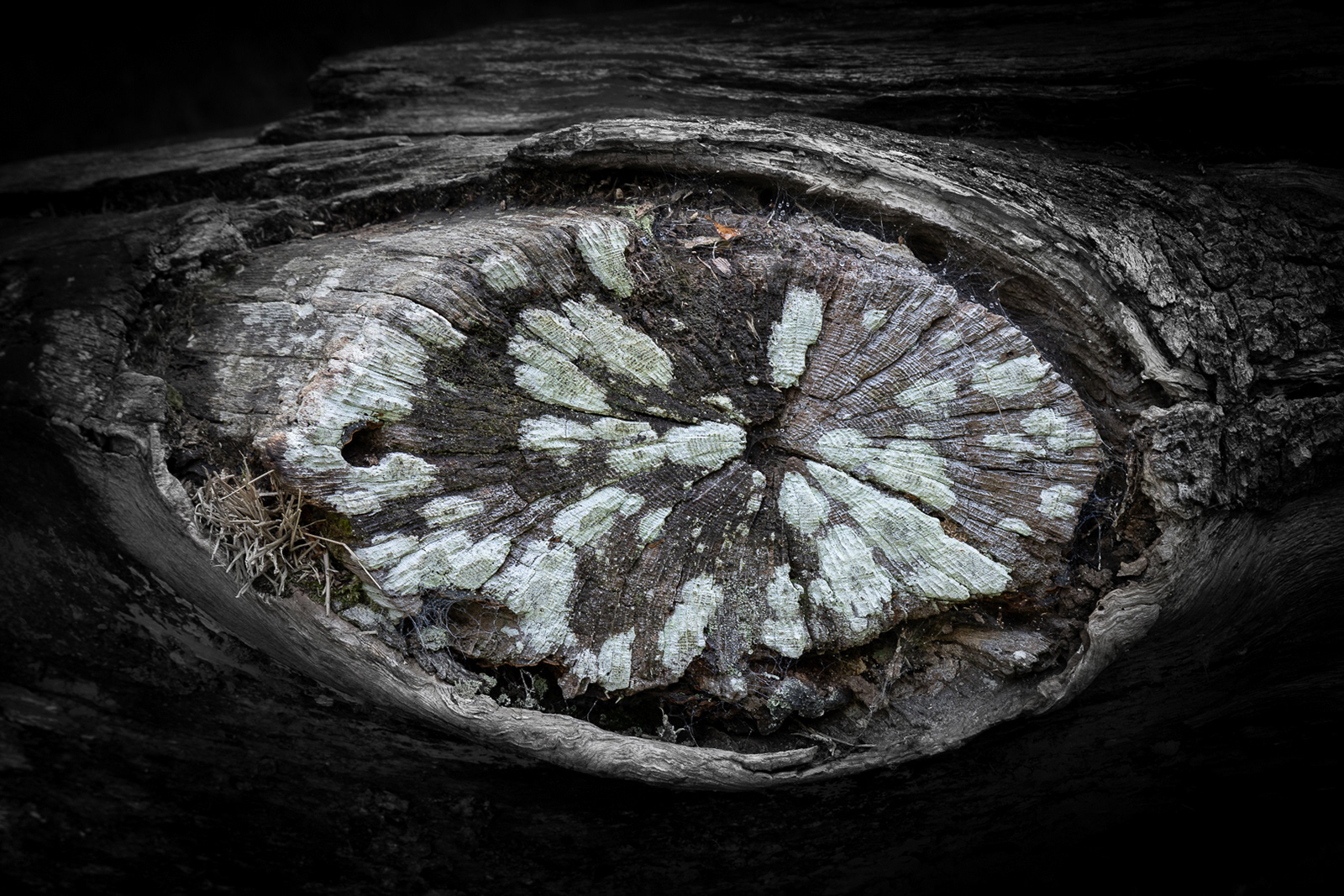 Colby_Pembs-4918 by Morlais Davies