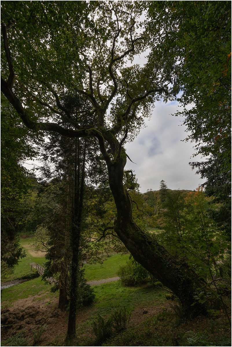 "Convoluted" by Viv Evans