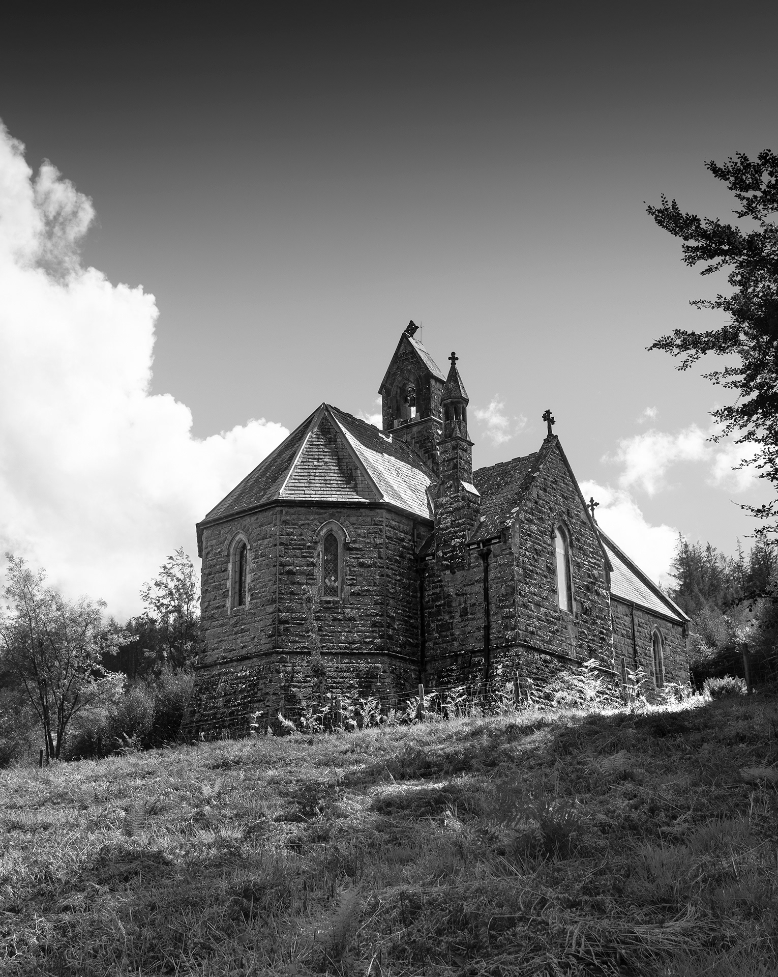 "Nant gwyllt mono" by Viv Evans
