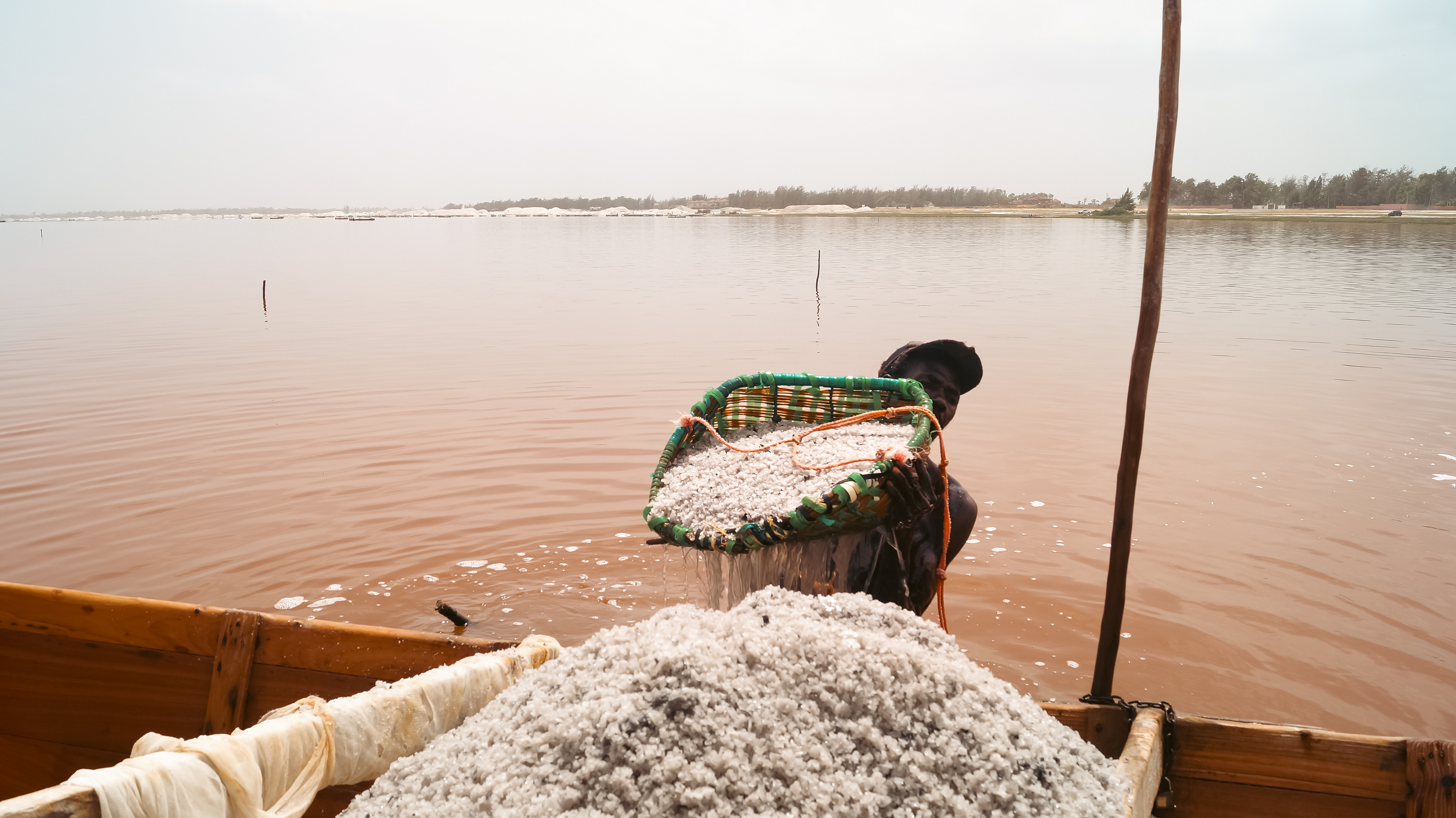 Lake Retba, Senegal - Salt Harvest II