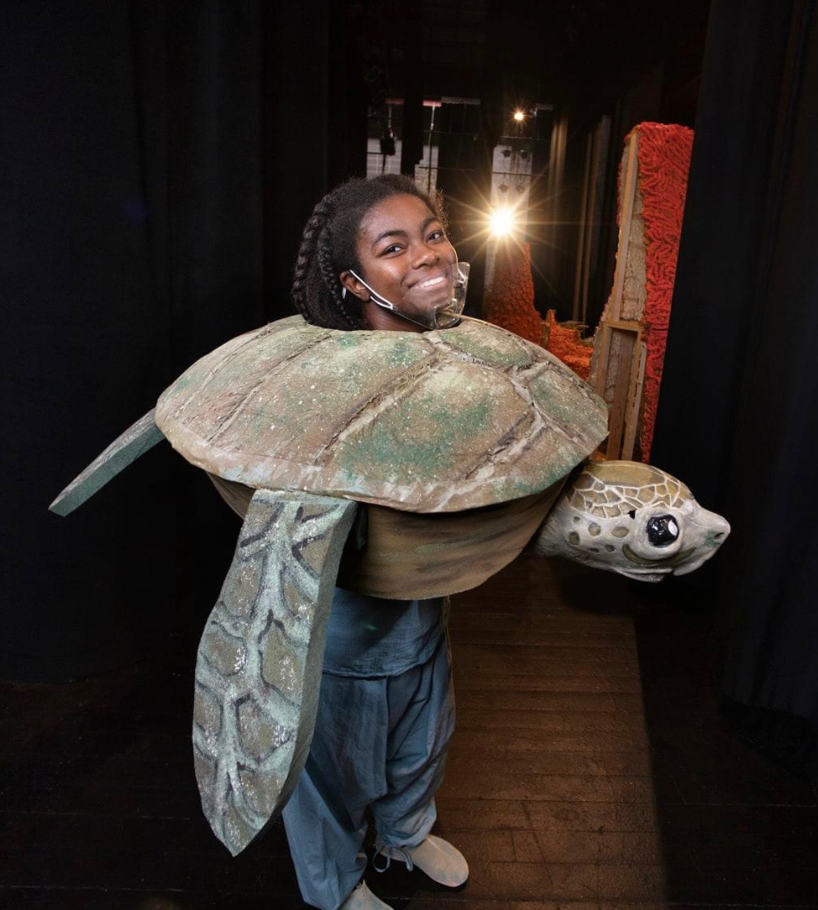 Banner - Paint Lead (Turtles)