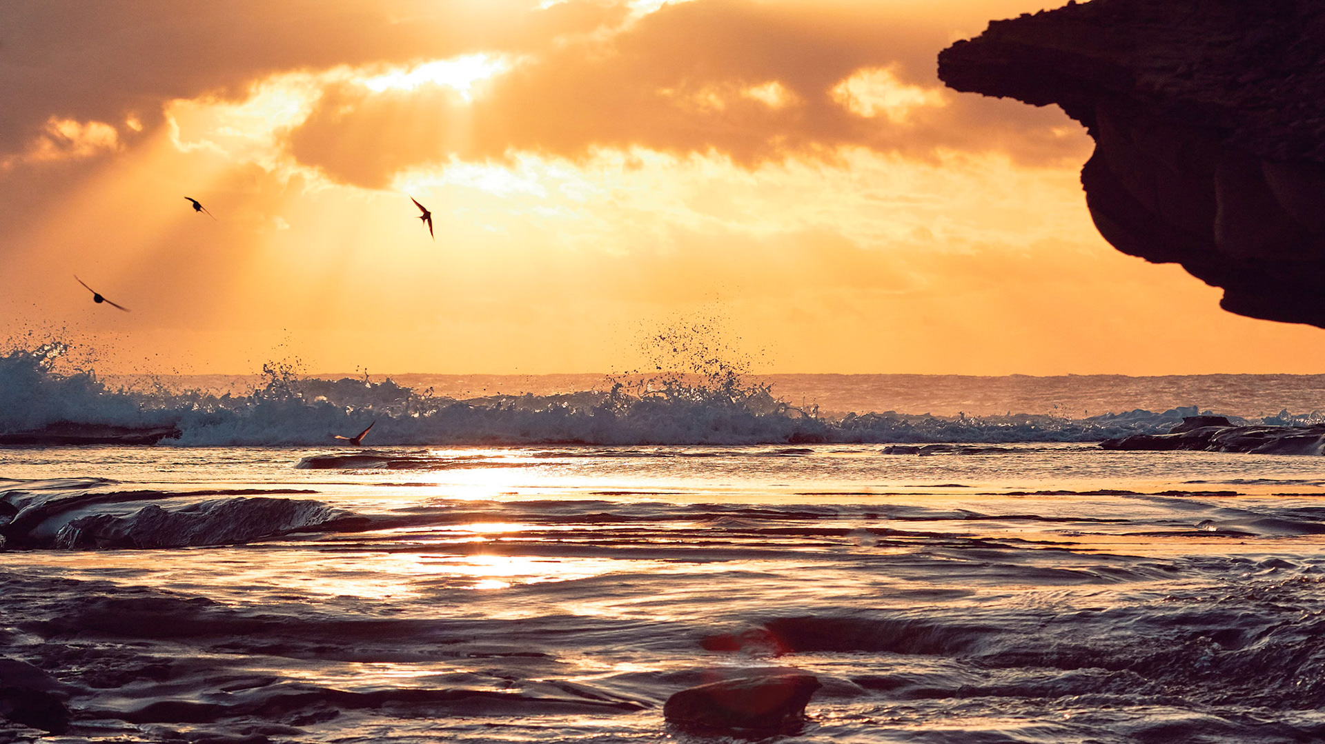 Terrigal, NSW