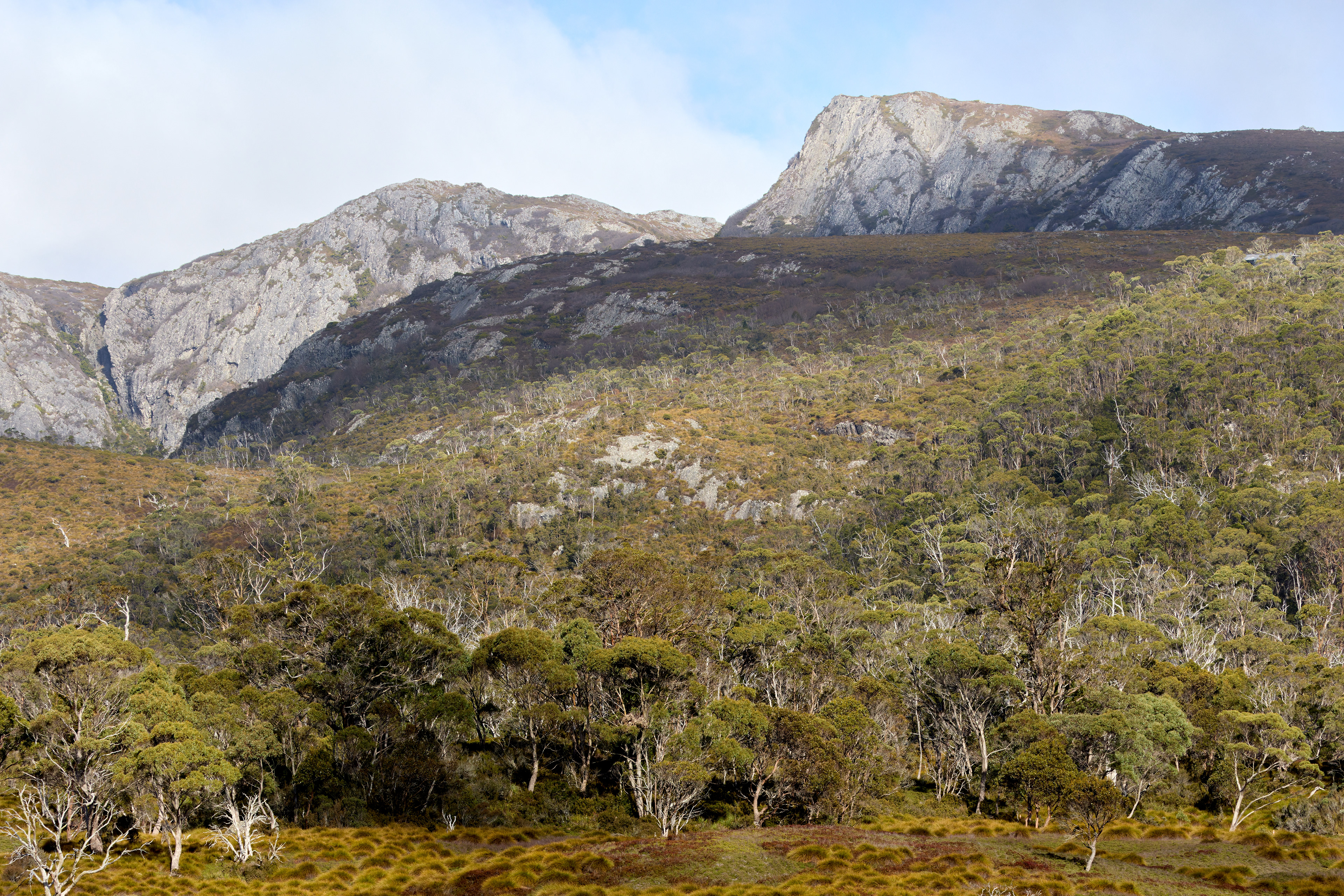 Ronney Creek, Tasmania