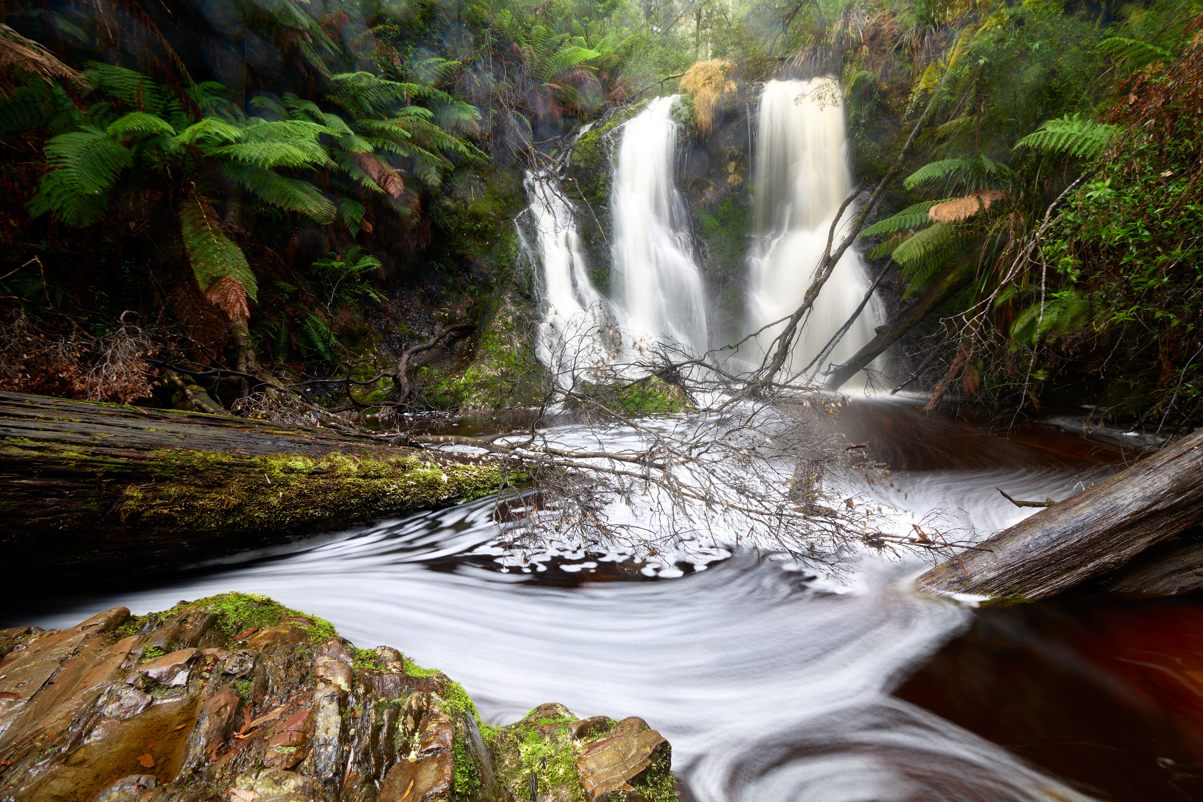 Hogarth Falls, Tasmania