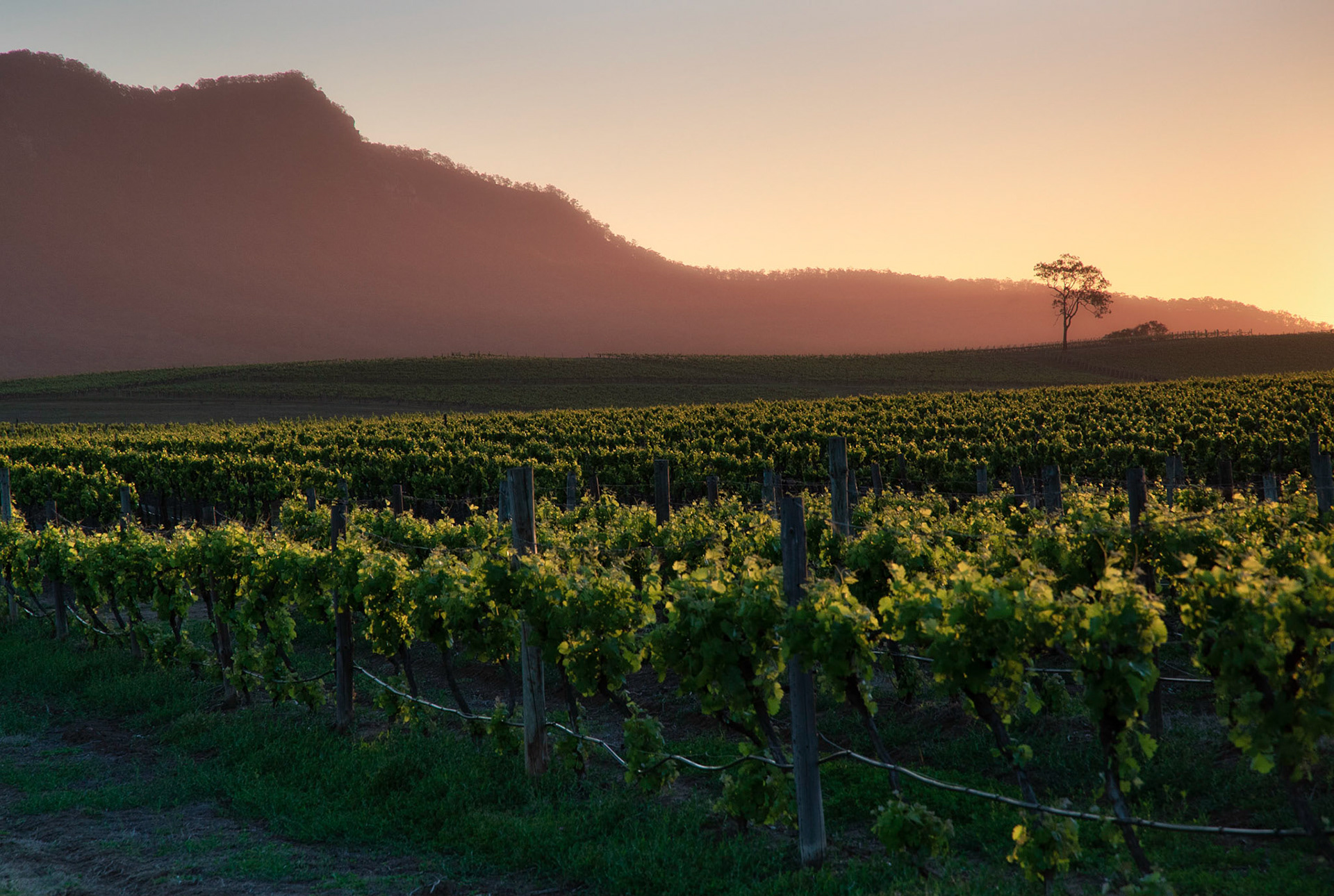 Hunter Valley, NSW