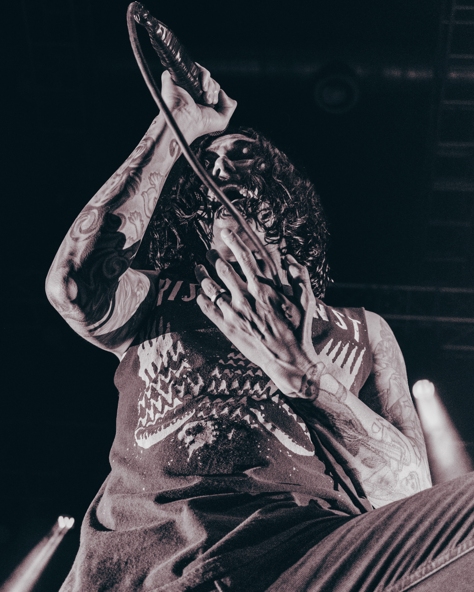 Kellin Quinn (Sleeping with Sirens)