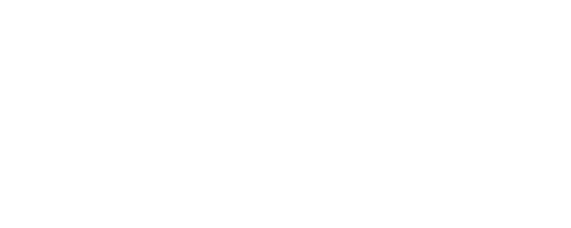 RDUI