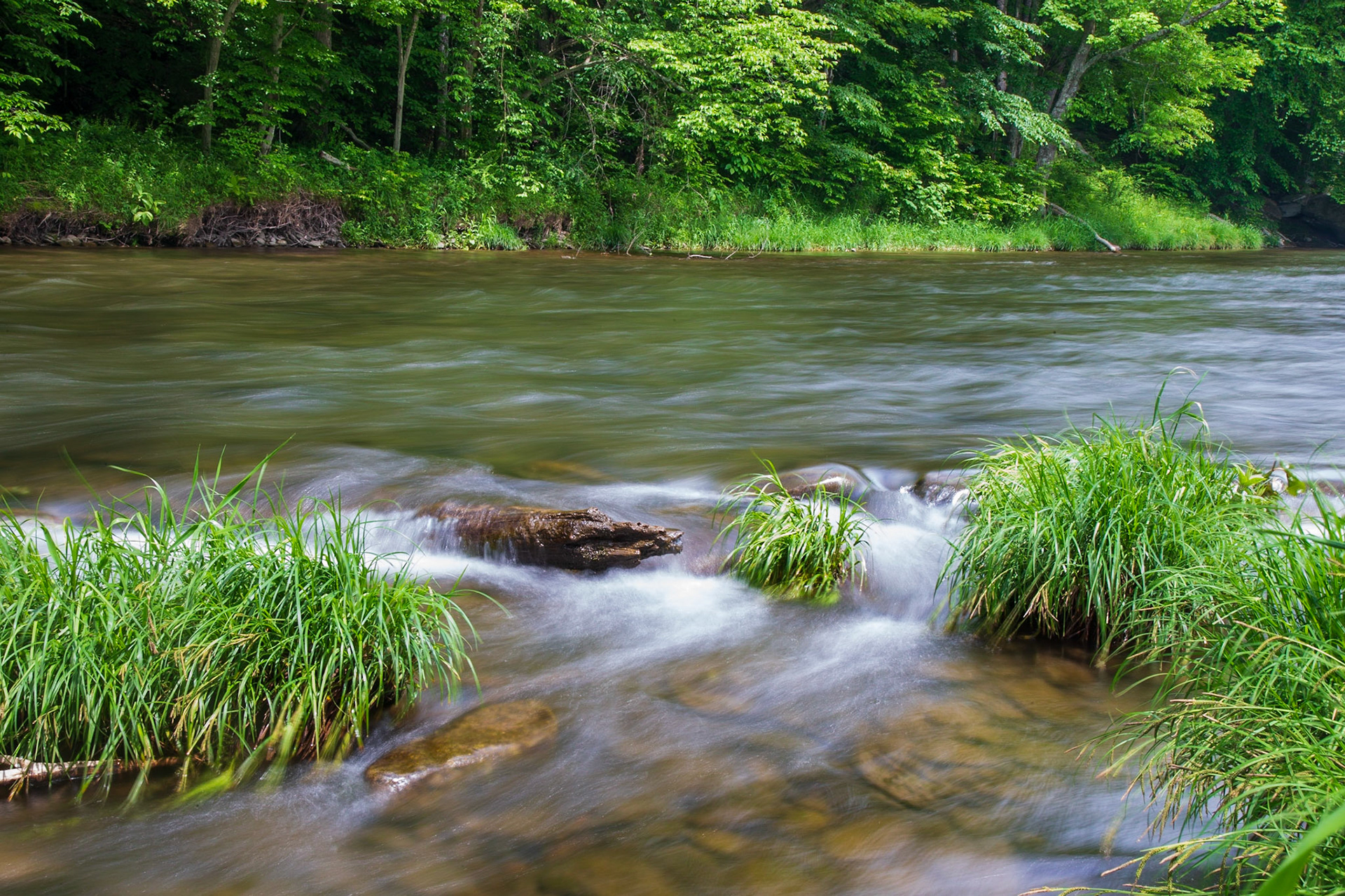 Little Beaverkill River - Famous trout stream in New York