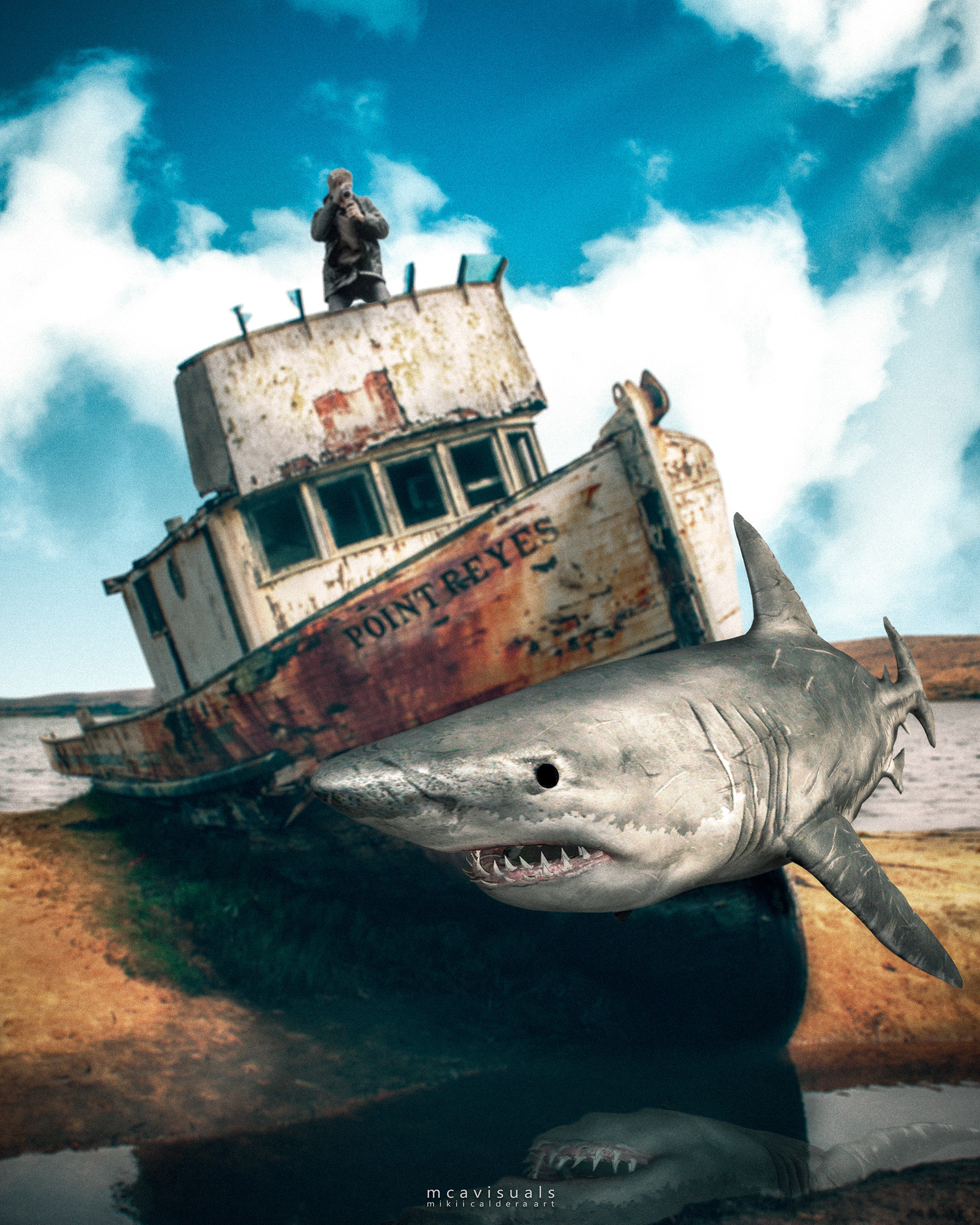 Shark Island Of Planet Sea