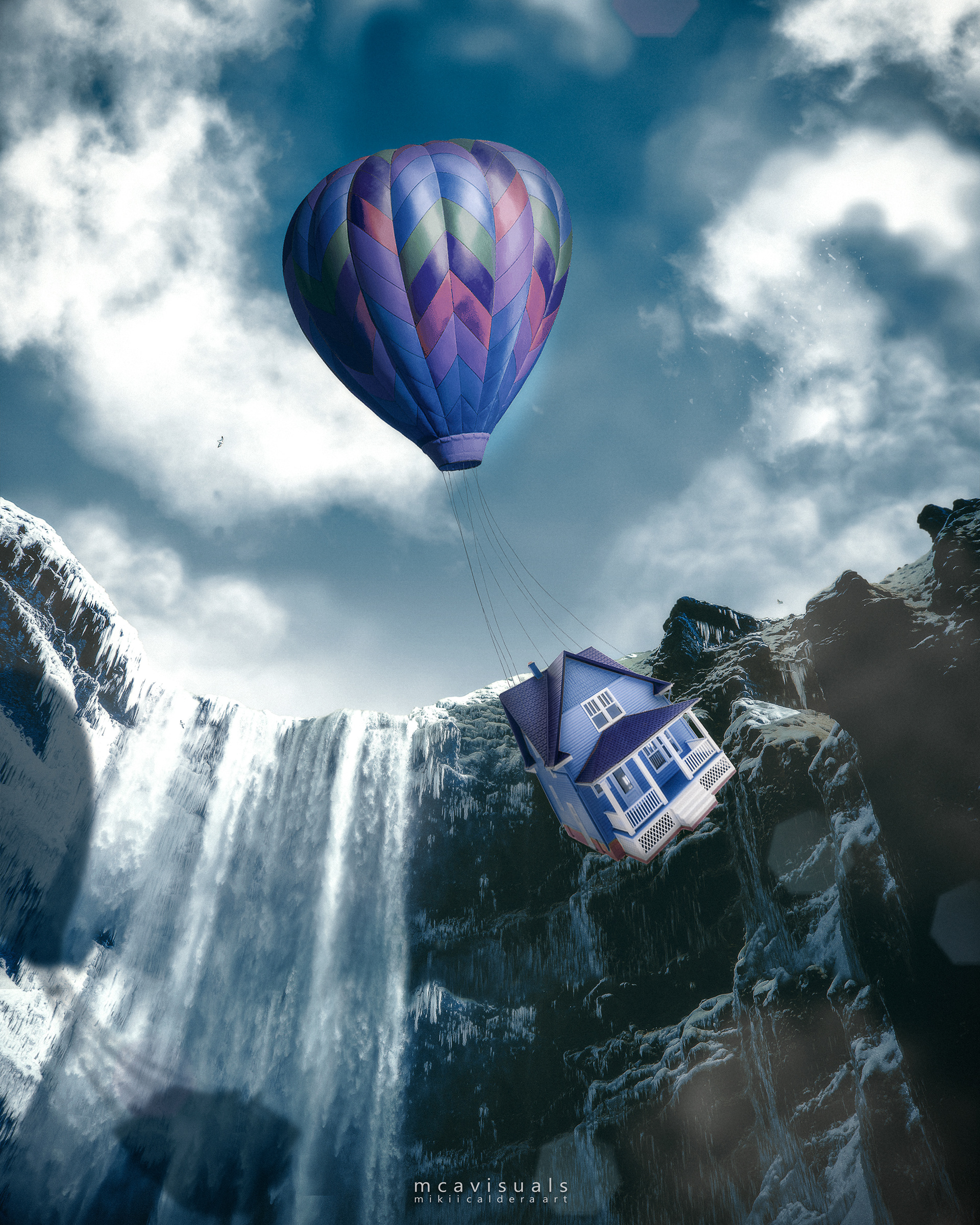 House Fly by
