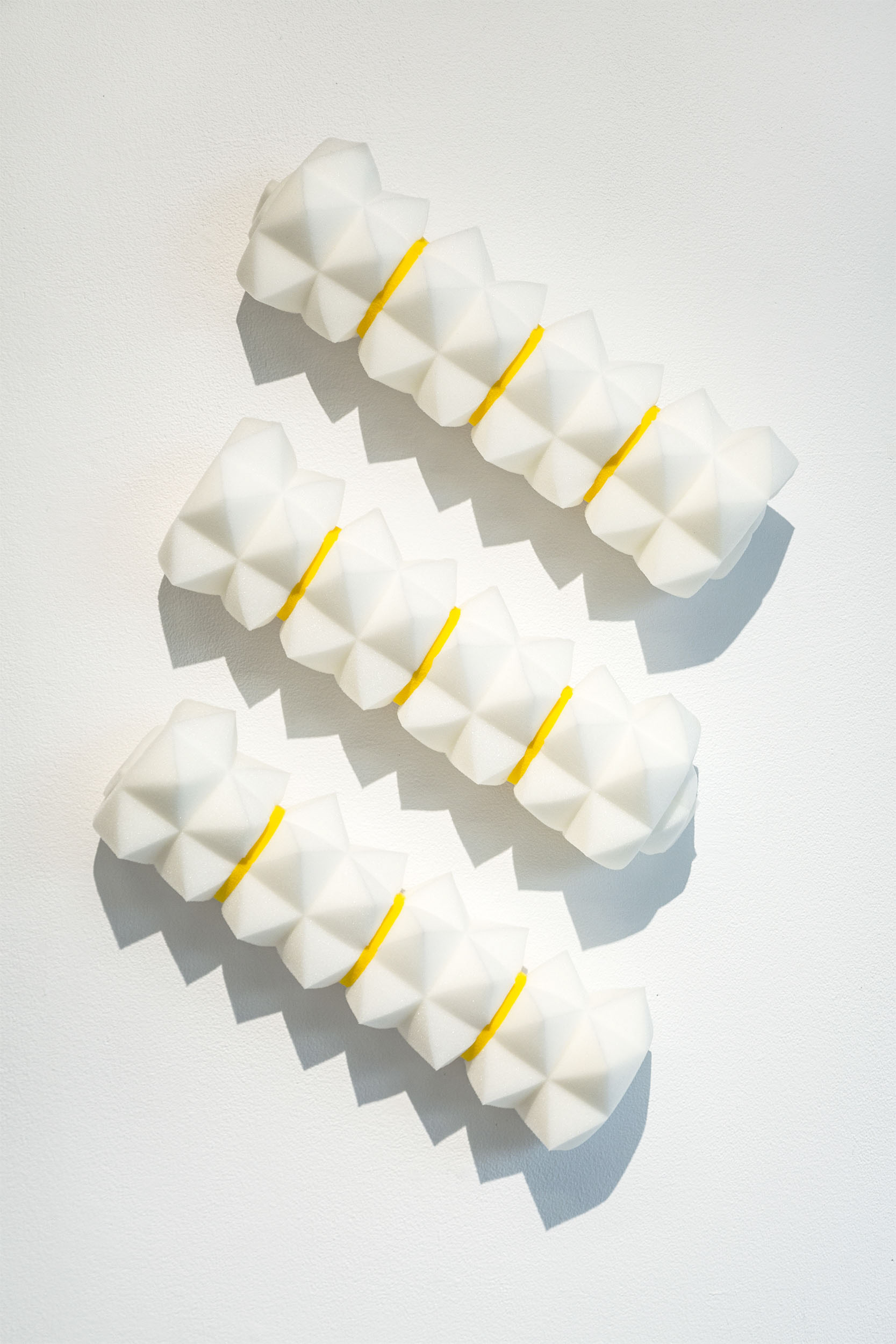 Monika Balu Rolled-up panels 2020