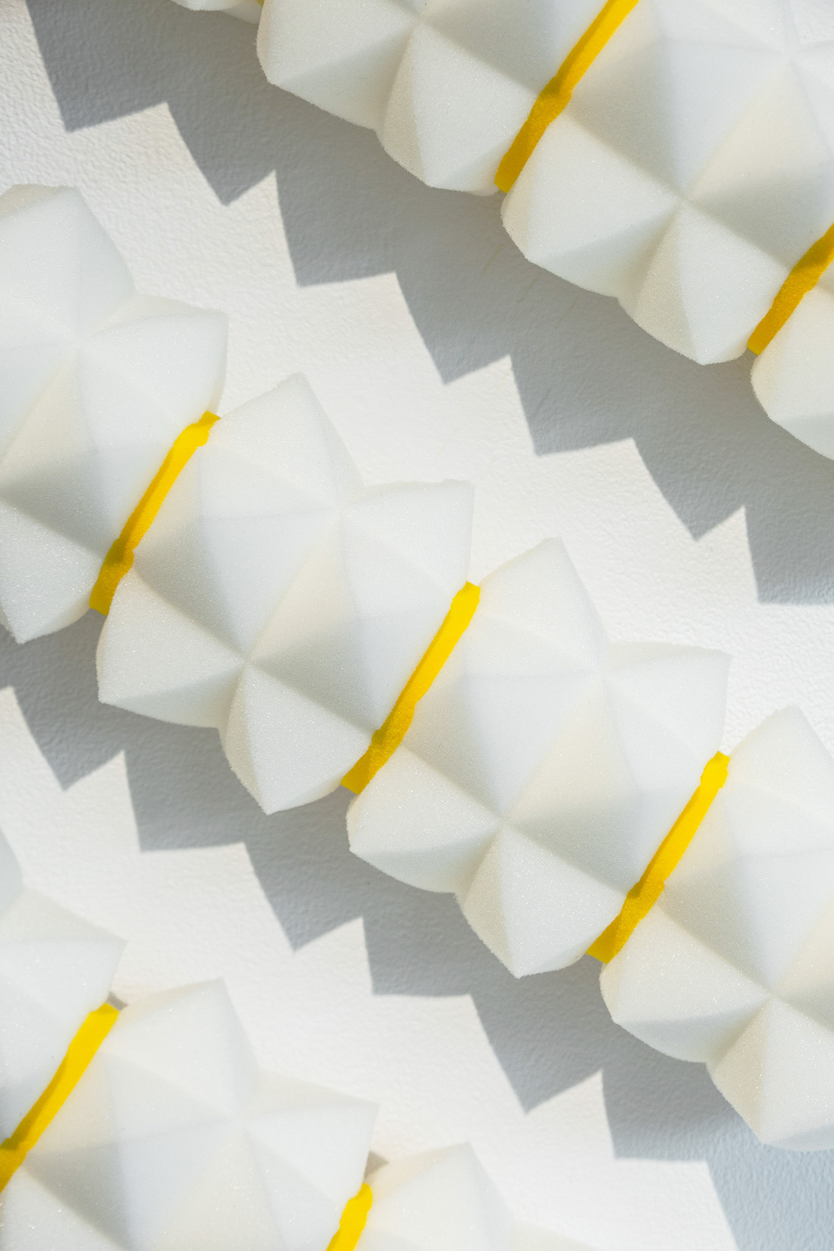 Monika Balu Rolled-up panels 2020