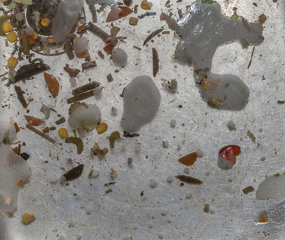 Monika Balu Sinking Sink Photography