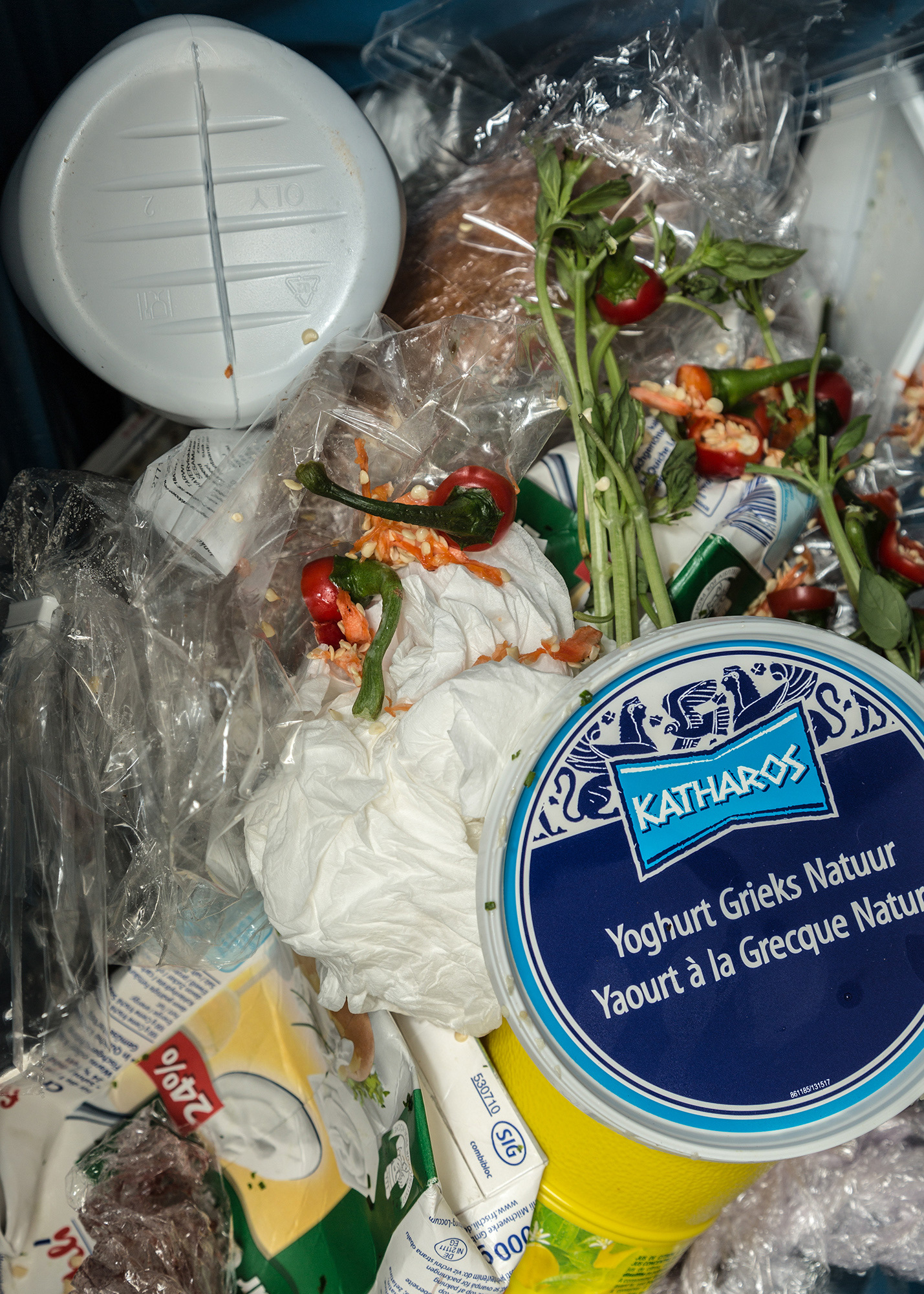 Monika Balu Food waste trash photography